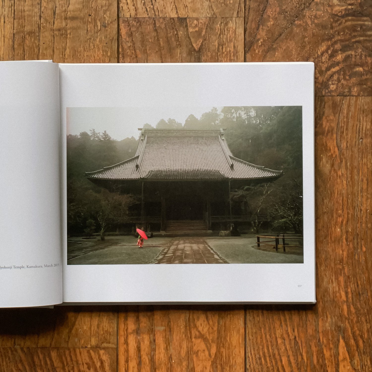 写真集：In Color In Japan: Selected and New Works｜Shin Noguchi