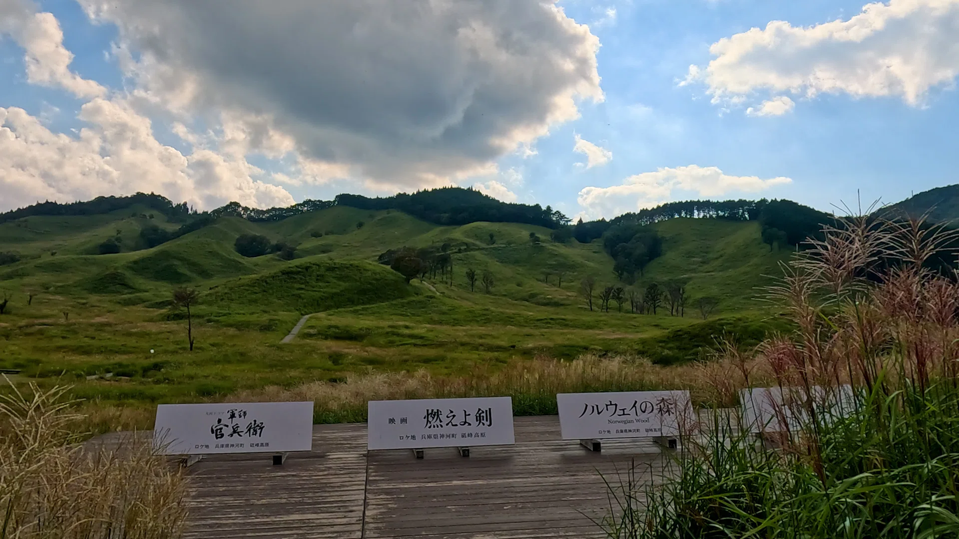 兵庫県】砥峰（とのみね）高原のススキの中を散歩｜雲