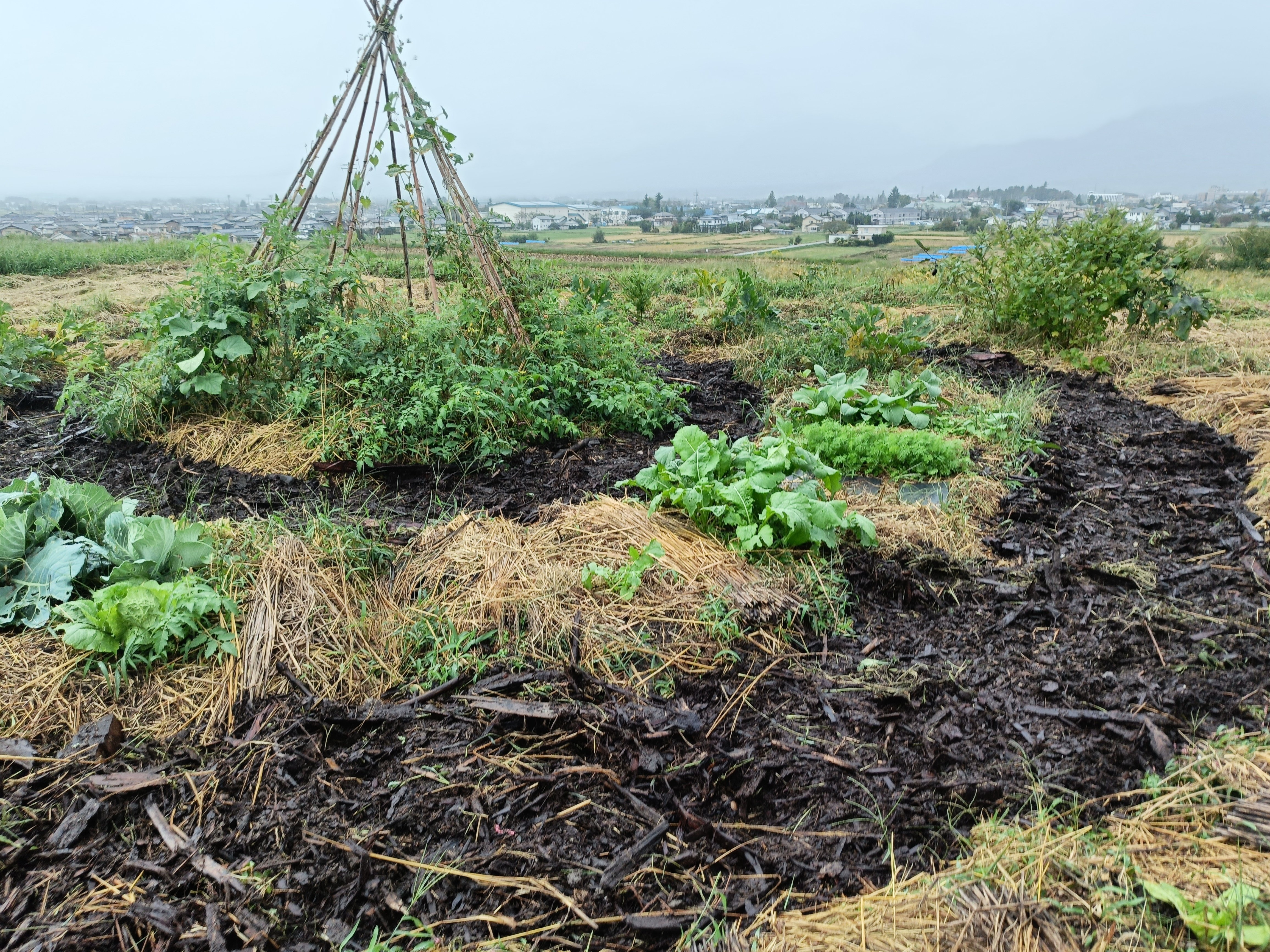 テイピマンダラガーデンにウッドチップ｜shanthi-usui