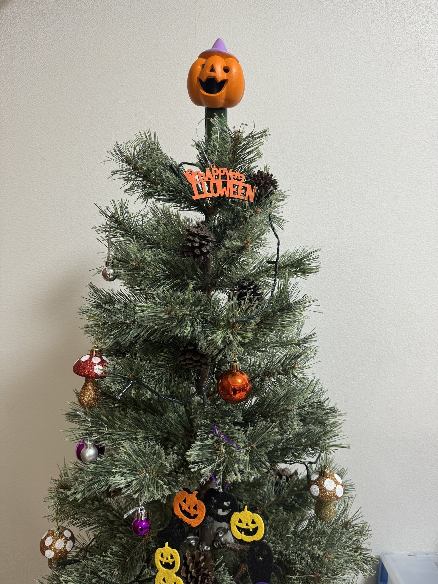 スリコのハロウィン電飾をパワーアップさせた話｜kurokky