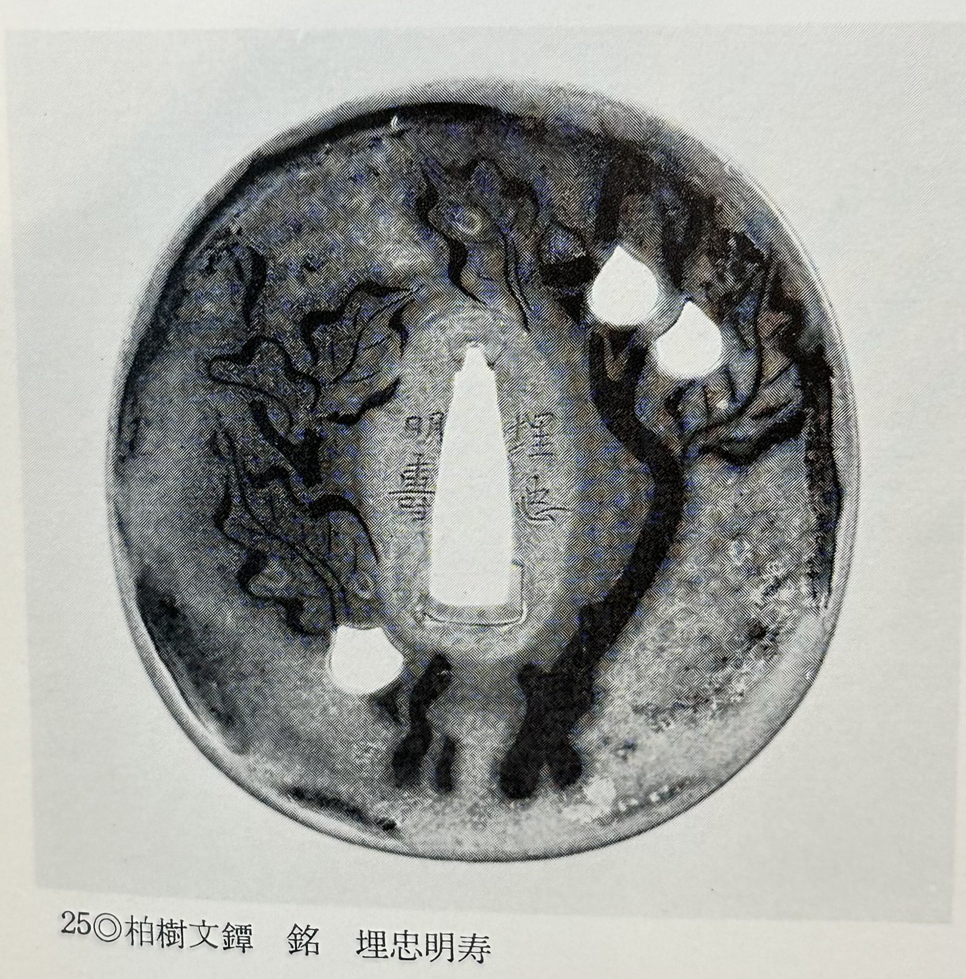 埋忠明真の九年母図鐔｜刀箱師の日本刀ブログ 中村圭佑