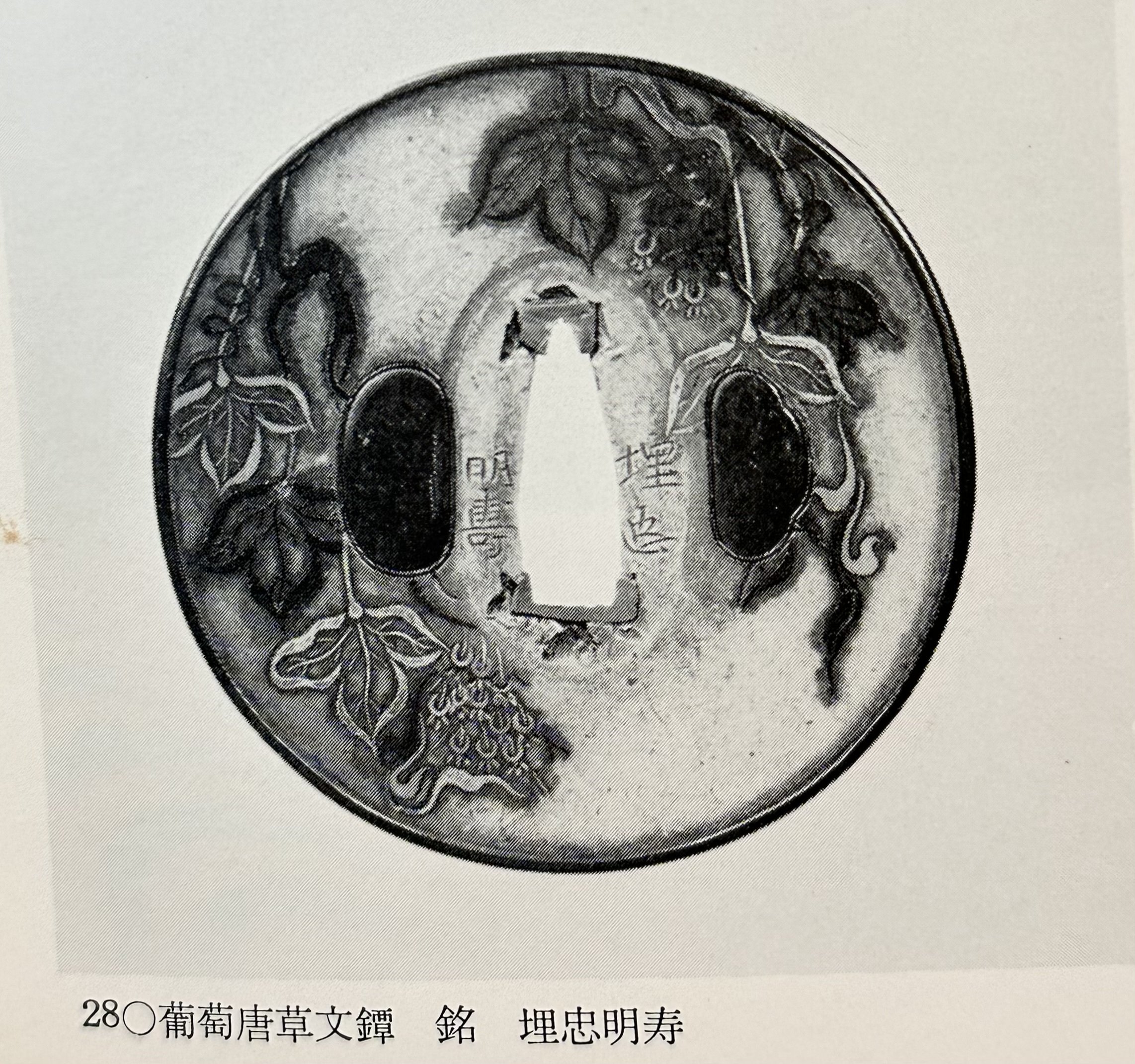 埋忠明真の九年母図鐔｜刀箱師の日本刀ブログ 中村圭佑