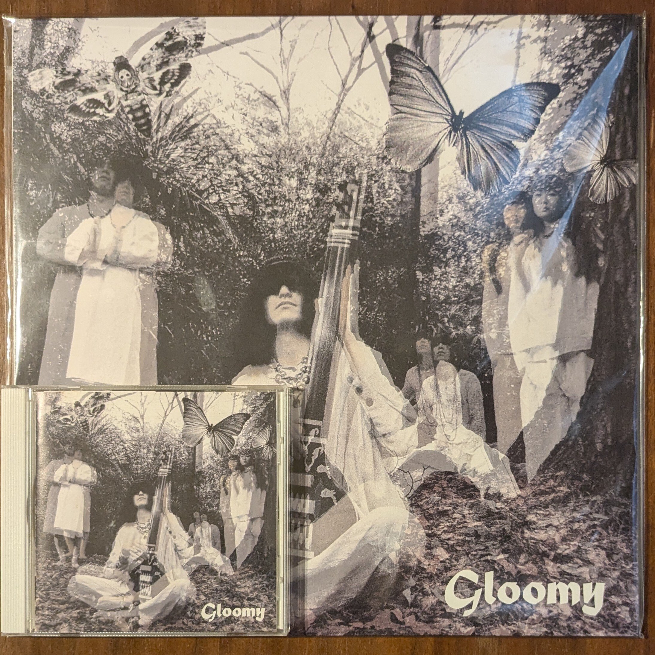 毛皮のマリーズ 魂の全曲レビュー｜さと