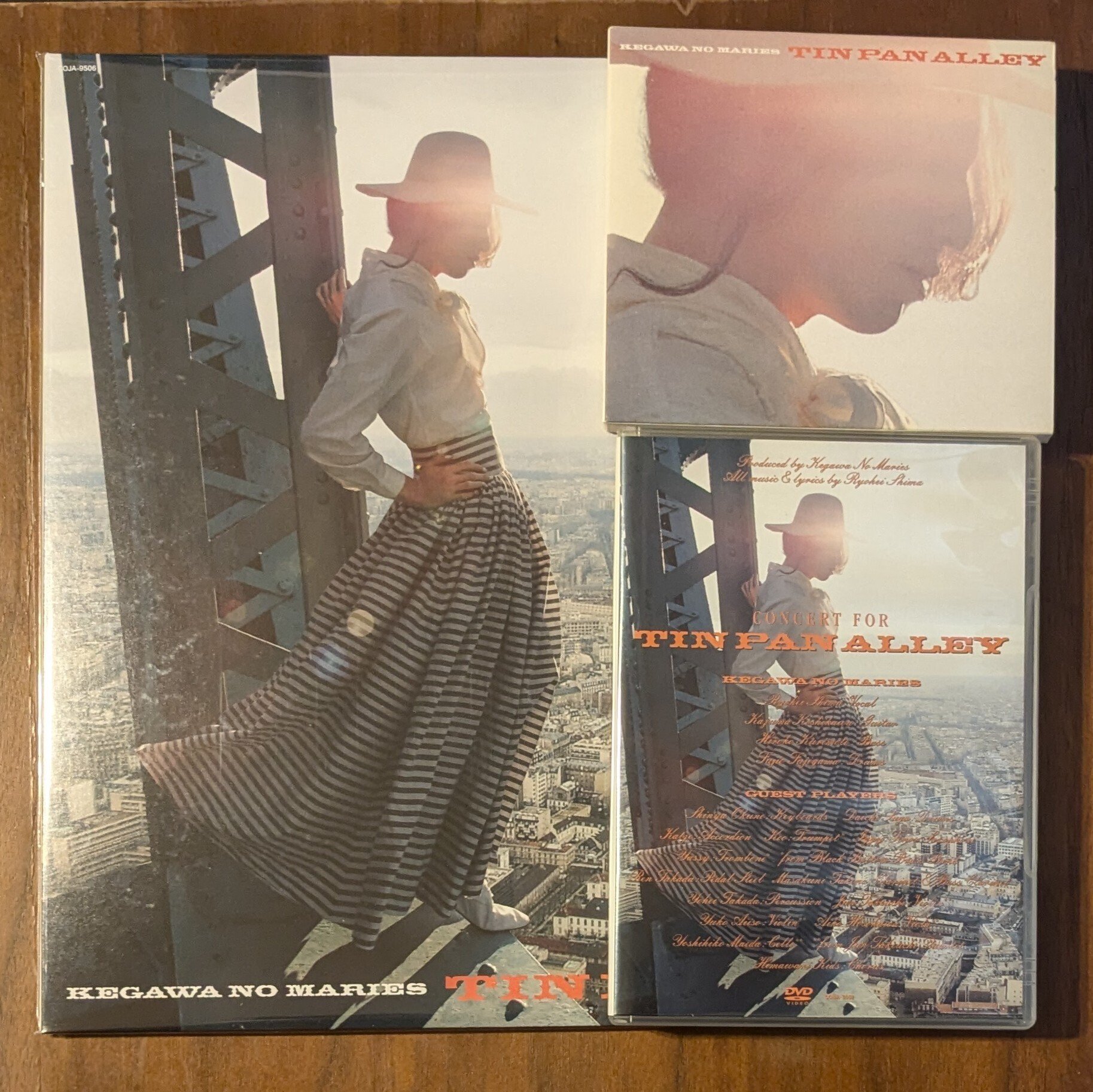 毛皮のマリーズ / ティン・パン・アレイ 【RECORD】 | RECORD,J