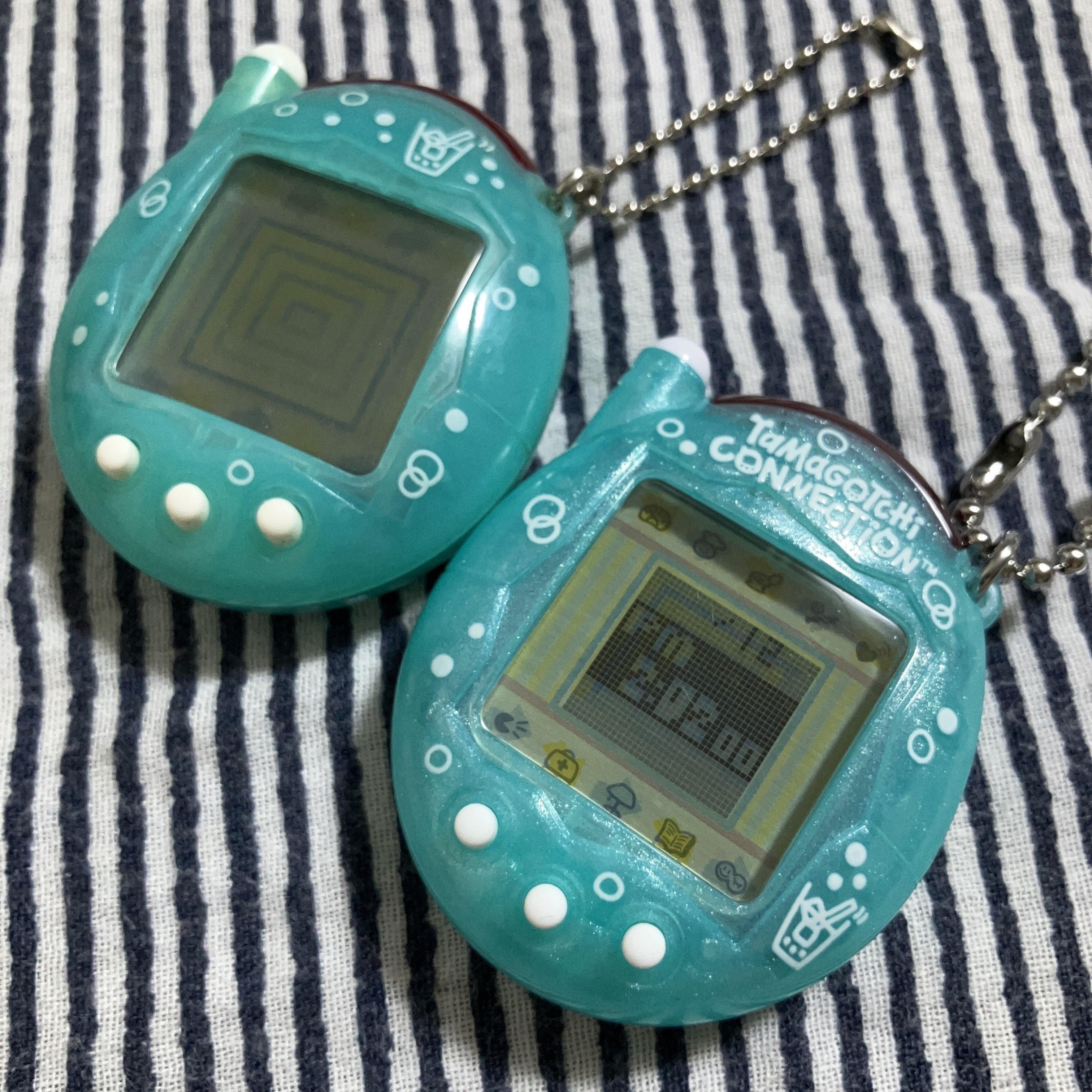 ついに入手したっ！！｜Loy