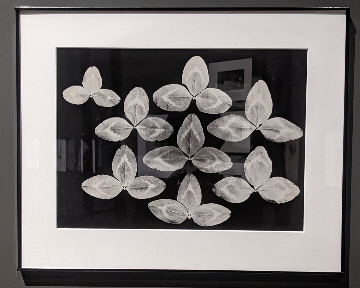 額装済/foto licia 1926/バウハウス 額装済/foto licia 1926/バウハウス