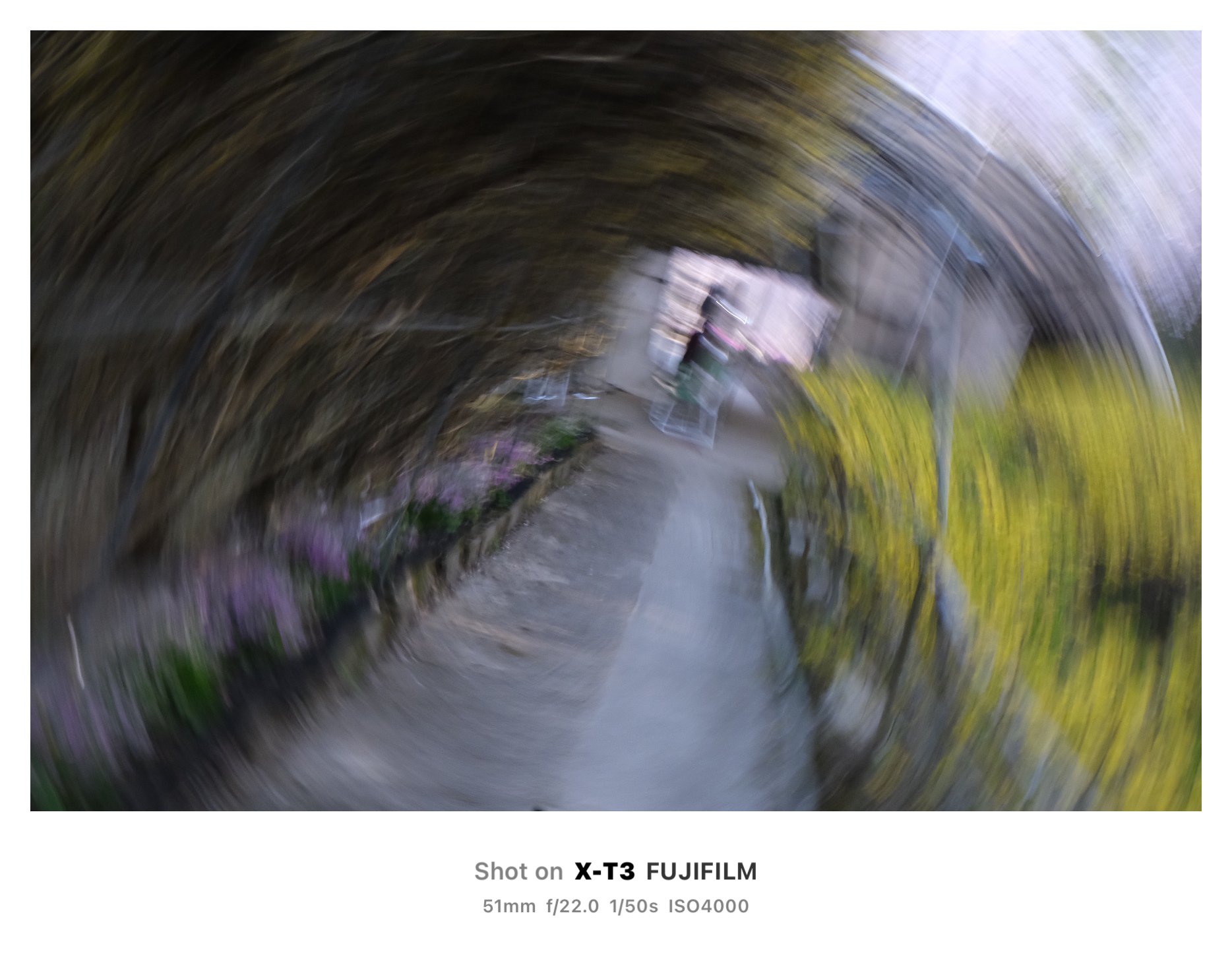 47 🖼️ FUJIFILM X-T3 写真1｜Ynofilm