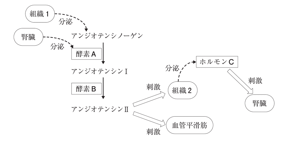 薬剤師国家試験対策ノート｜論点解説 薬学理論問題 生物(2) 第106回-第109回 17問 powered by GPT4o, Chat GPT,  Gemini, Google AI Studio, ｜matsunoya