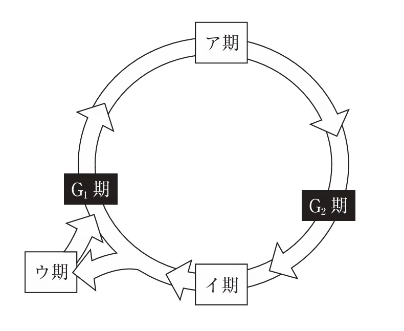 薬剤師国家試験対策ノート｜論点解説 薬学理論問題 生物(2) 第106回-第