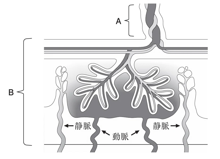 薬剤師国家試験対策ノート｜論点解説 薬学理論問題 生物(2) 第106回-第