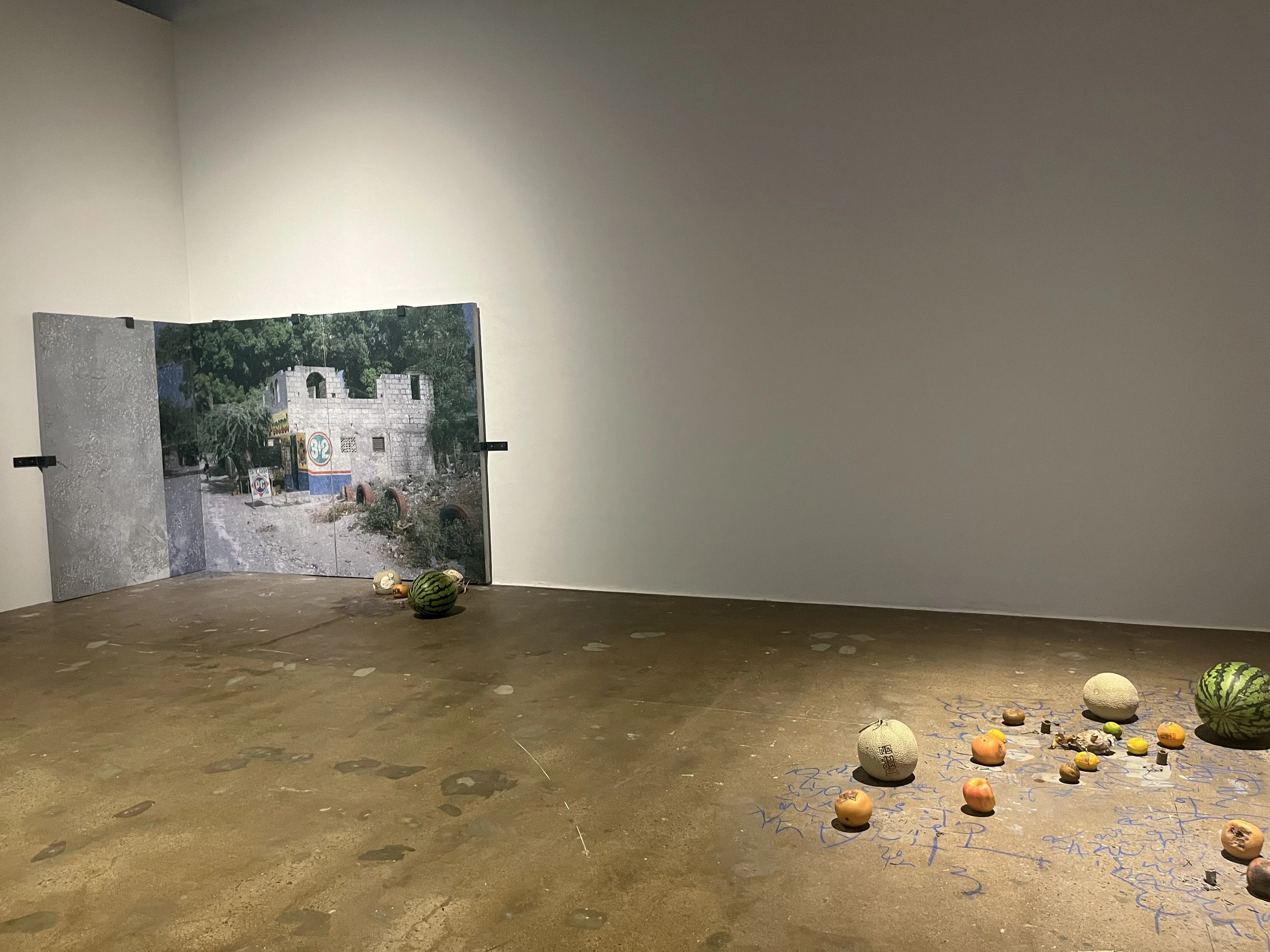 光州ビエンナーレ2024に行ってきた【展示振り返り編】｜ひらりさ