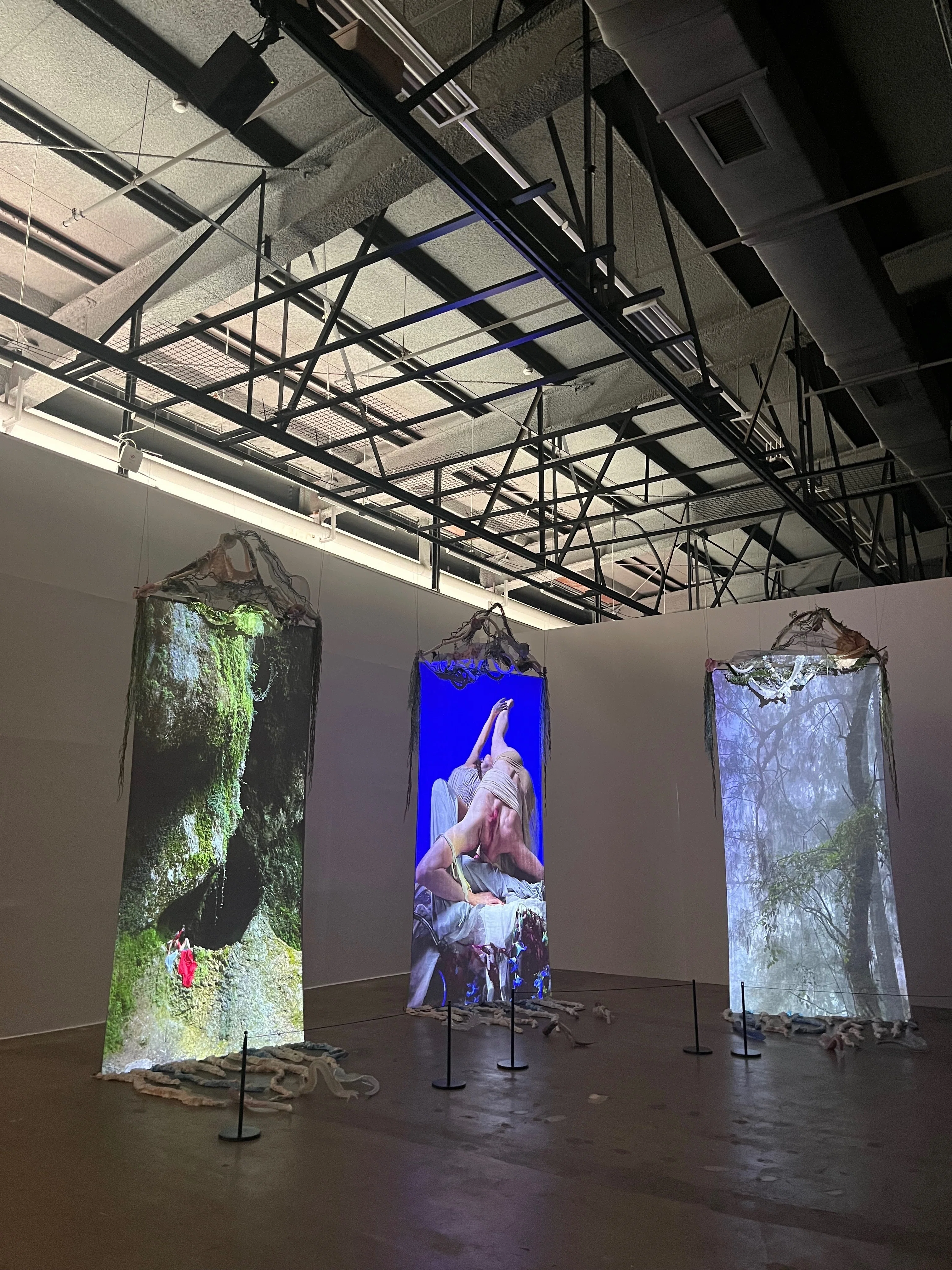光州ビエンナーレ2024に行ってきた【展示振り返り編】｜ひらりさ