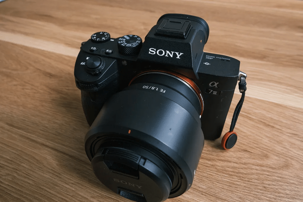 作例あり】SONY FE 50mm F1.8 SEL50F18F レビュー|Nocchi(のっち) 作例あり】SONY FE 50mm F1.8 SEL50F18F レビュー|Nocchi(のっち)