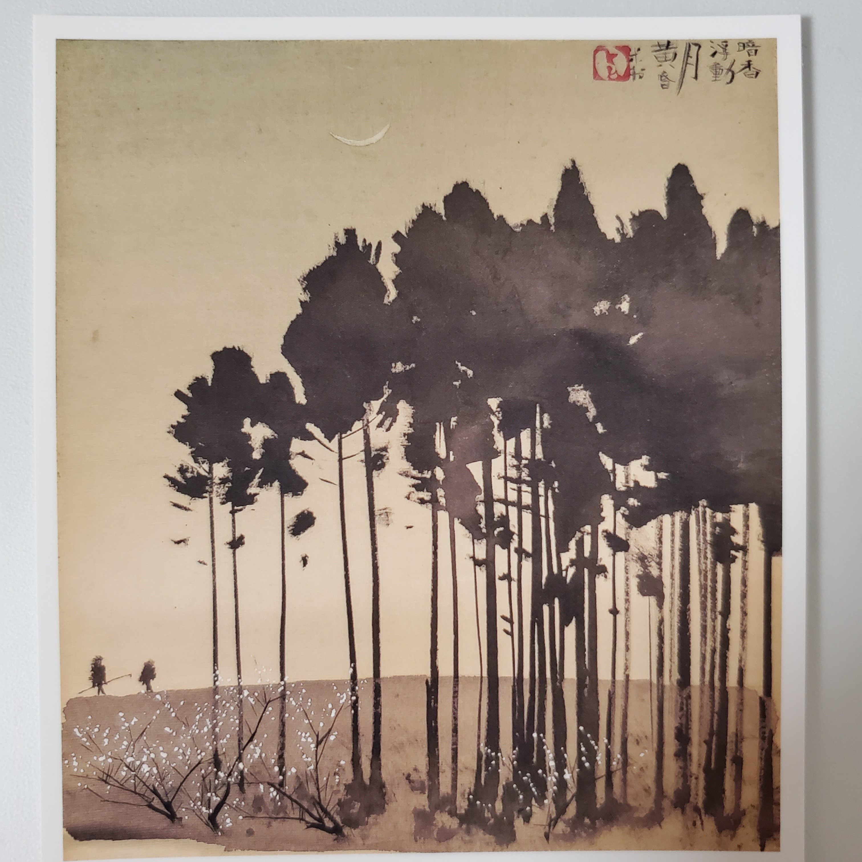 田中一村展 見れた嬉しさの感想だらつづり｜totono