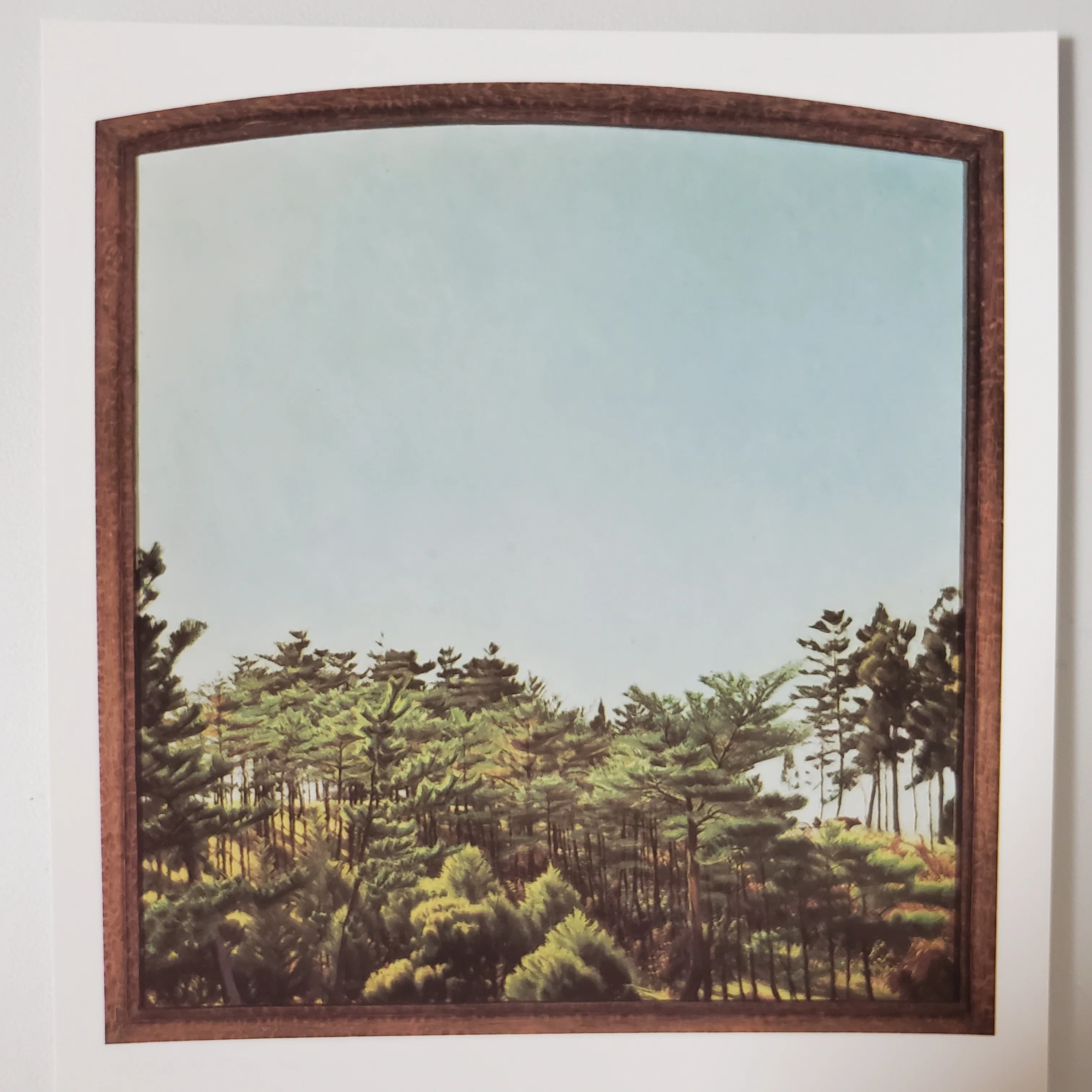 田中一村展 見れた嬉しさの感想だらつづり｜totono