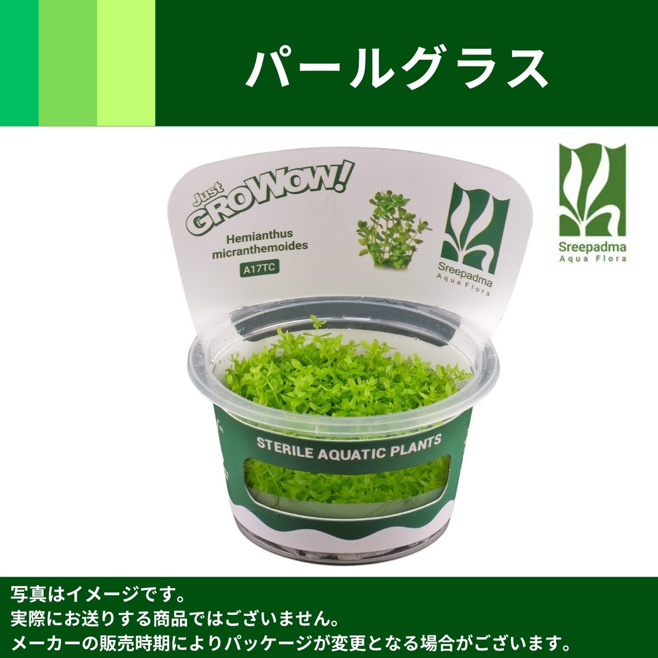 新鮮な水草 手のひらサイズ MIZUKUSAカタログ－GROWOW！－｜アクアモノ