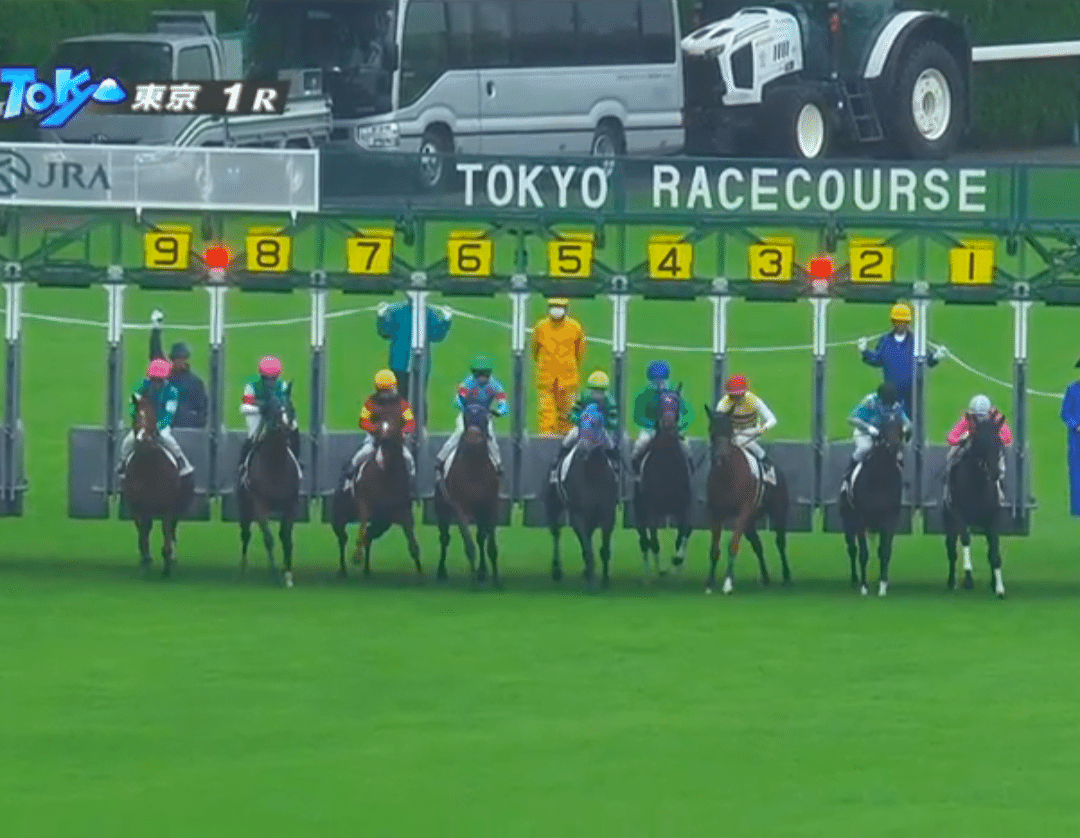 10月5日6日 東京競馬｜トムミラー@競馬道