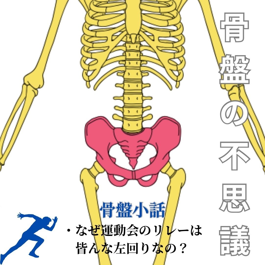 野口整体ちいさなzoom研究会のご案内｜晃天整体指導室 滝口晃帆