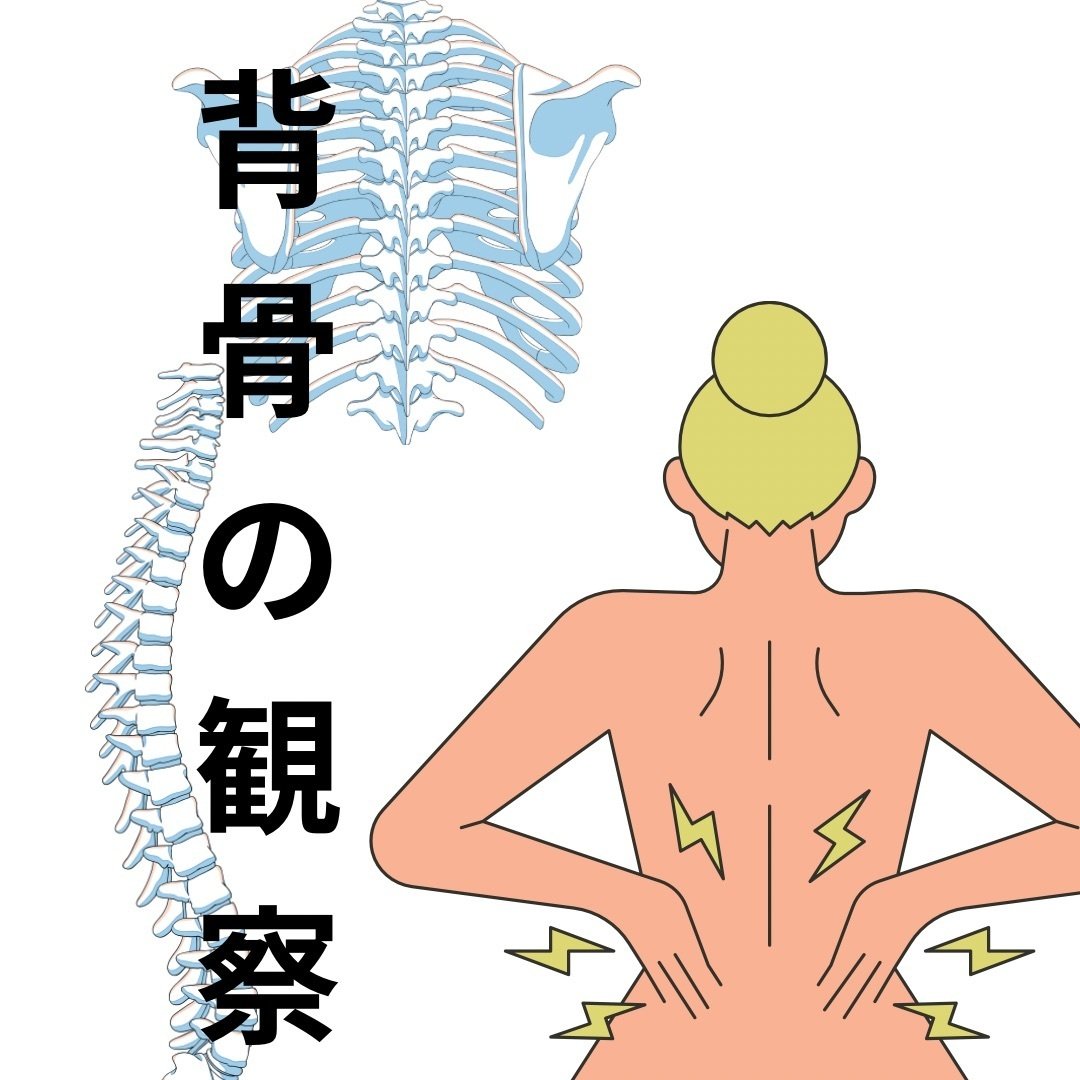 野口整体ちいさなzoom研究会のご案内｜野口整体指導室 滝口晃帆