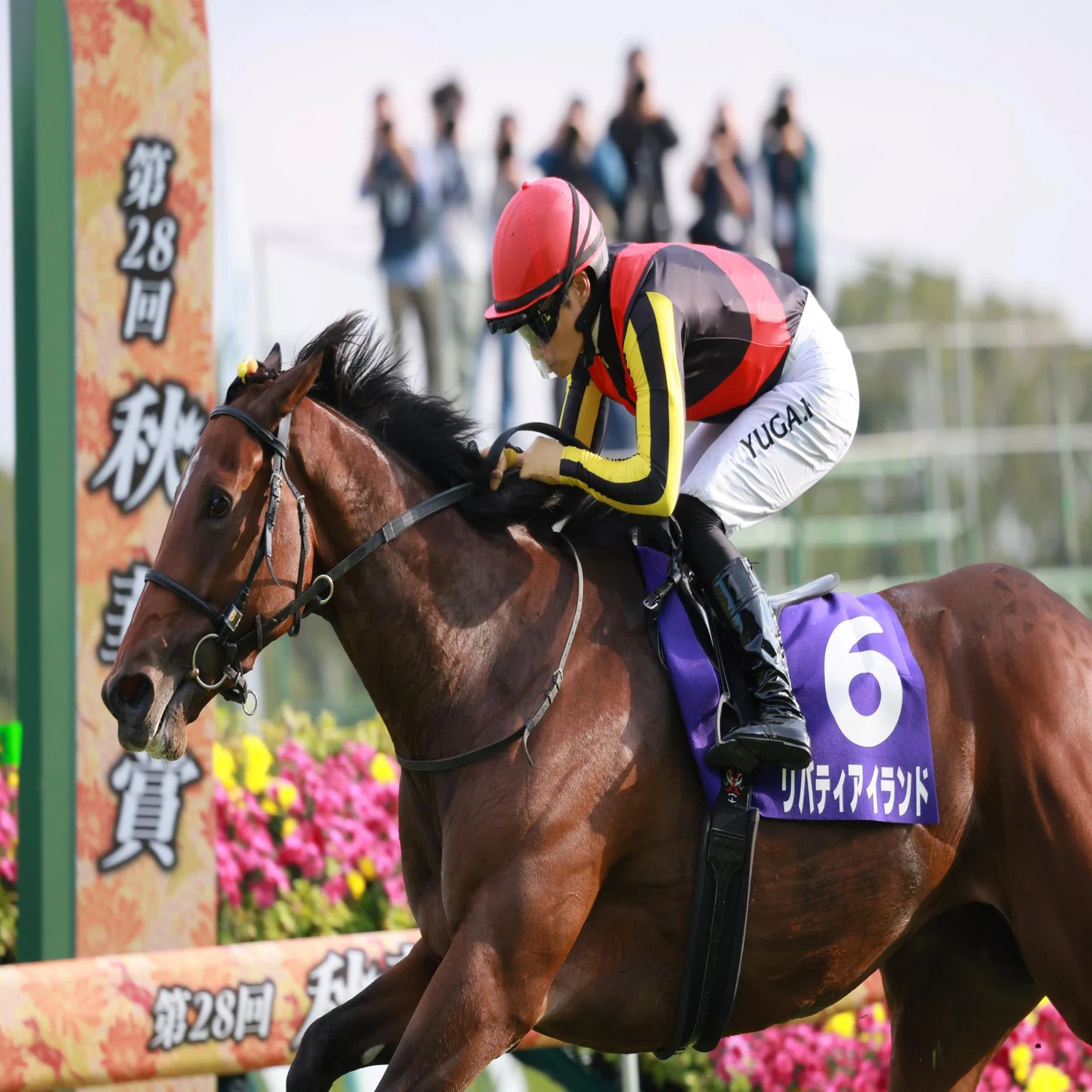 Re-edit 『スティルインラブ物語』｜タイツ・競馬ライター【無料予想と 
