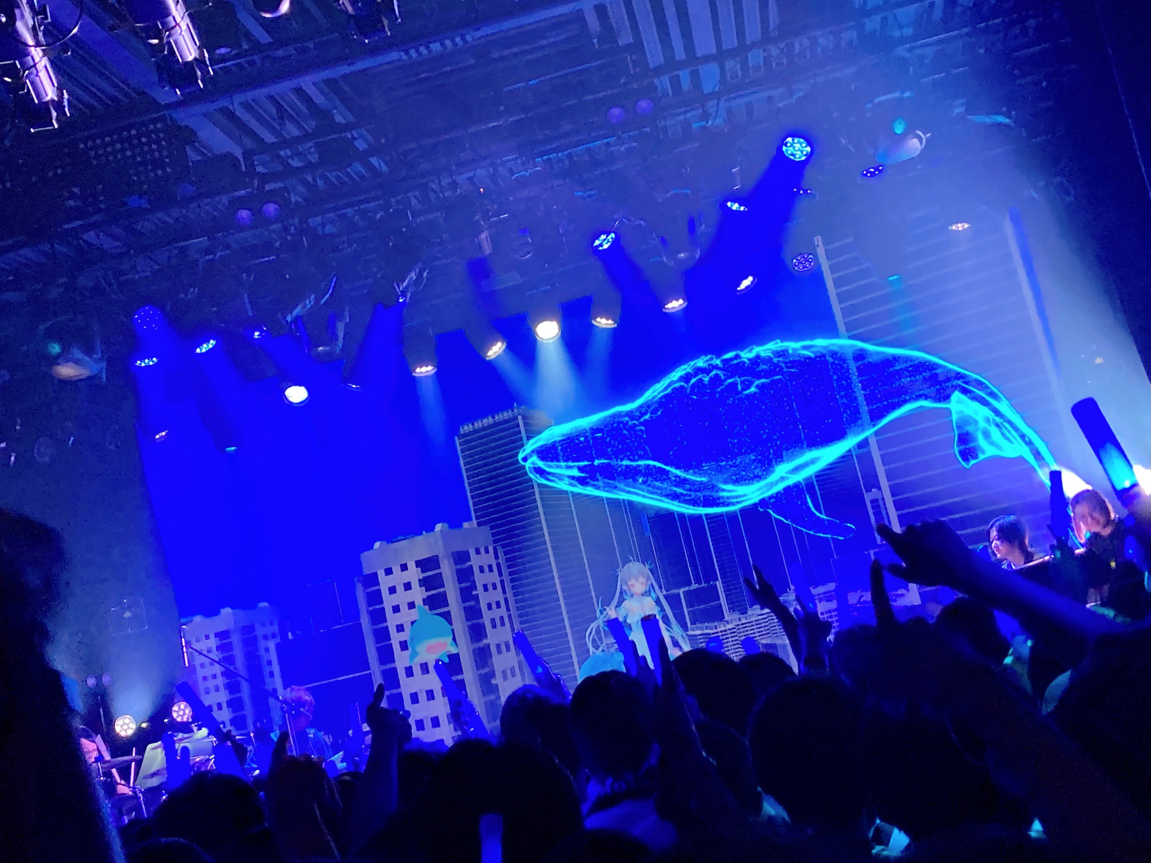 エルセとさめのぽき LAST ONE MAN LIVE 