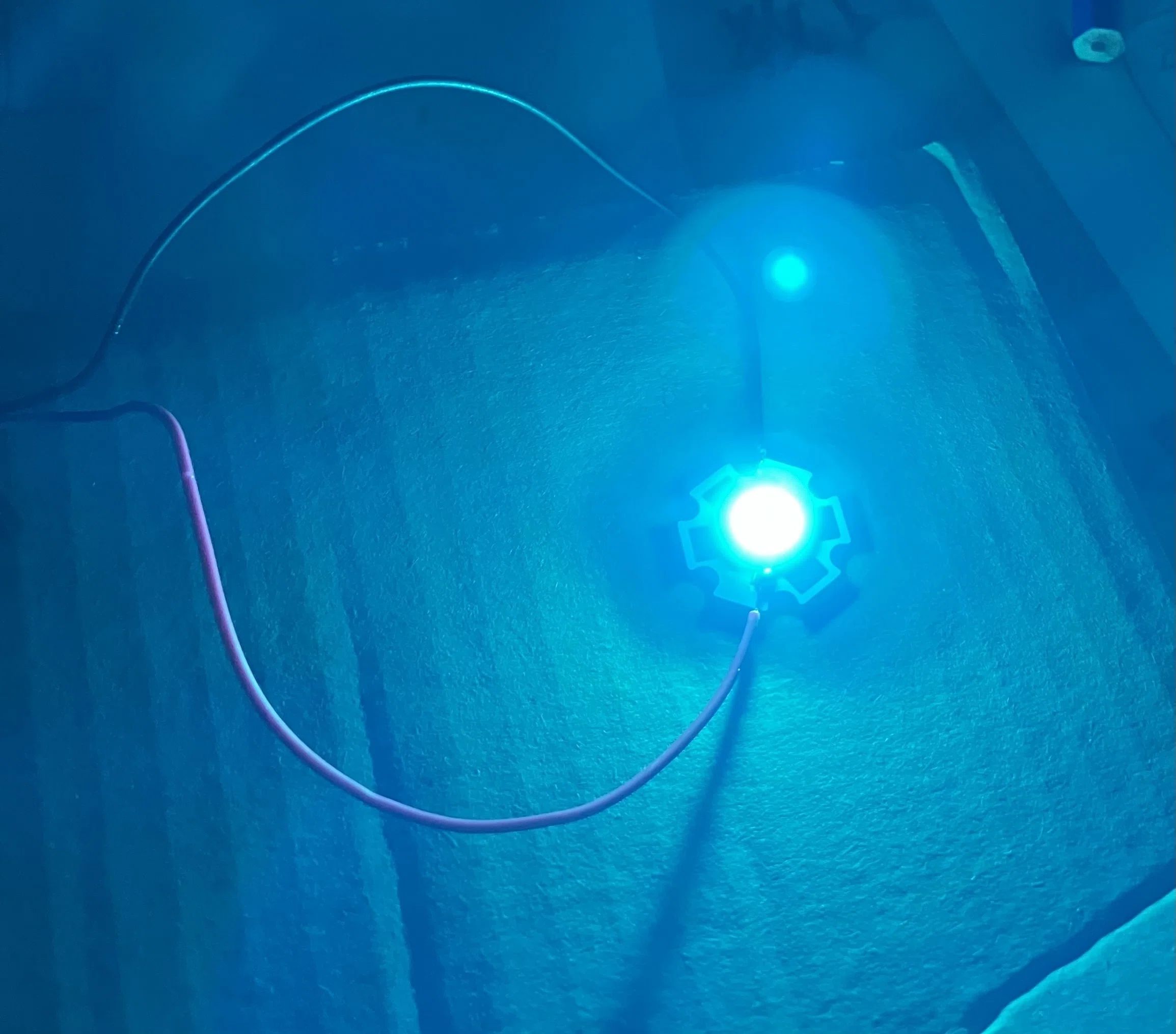 バイオテック 青色LED発光器 バイオテック 青色LED発光器