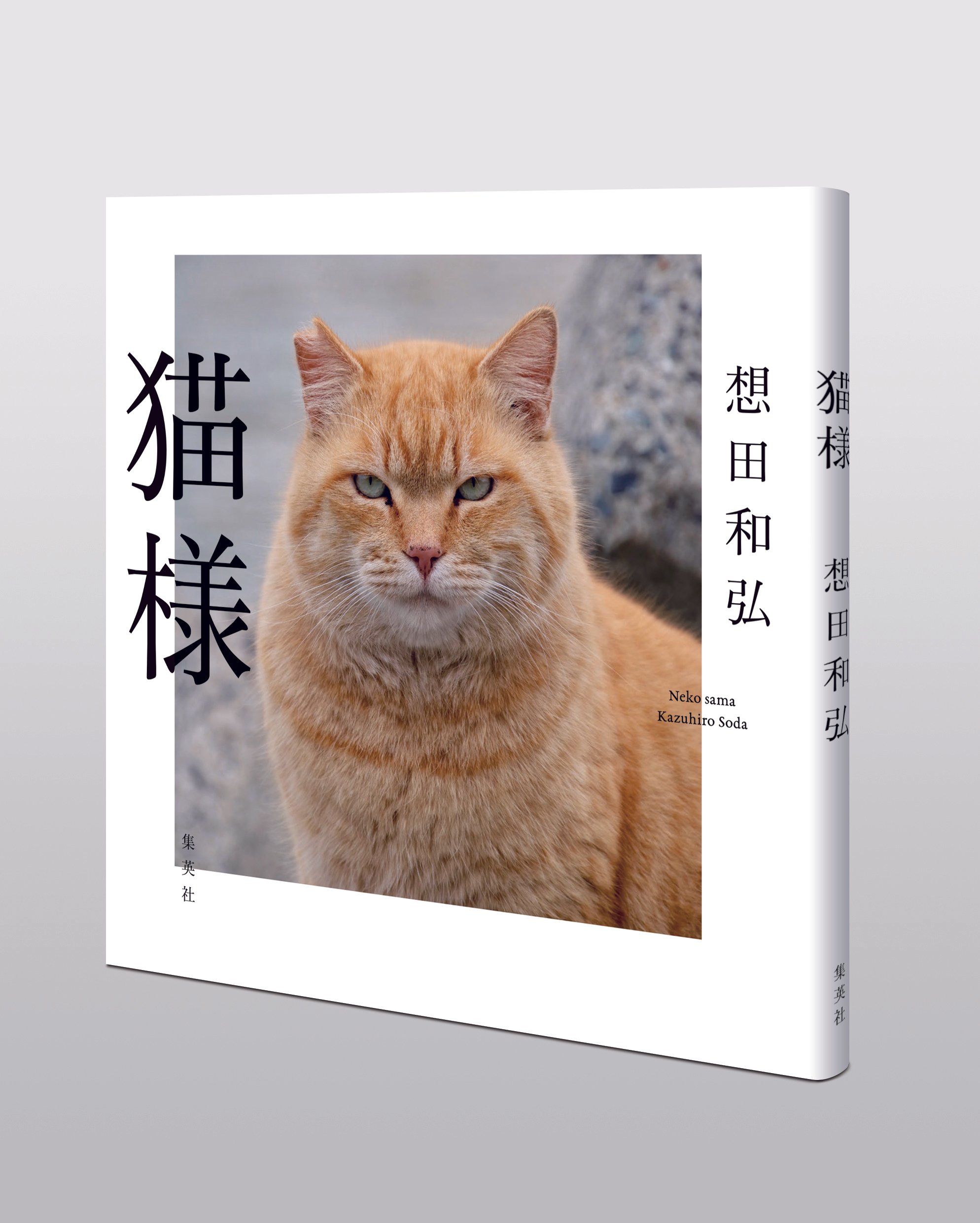 五香宮の猫』のポスター貼りのお願いで町をまわる、想田和弘監督に話を