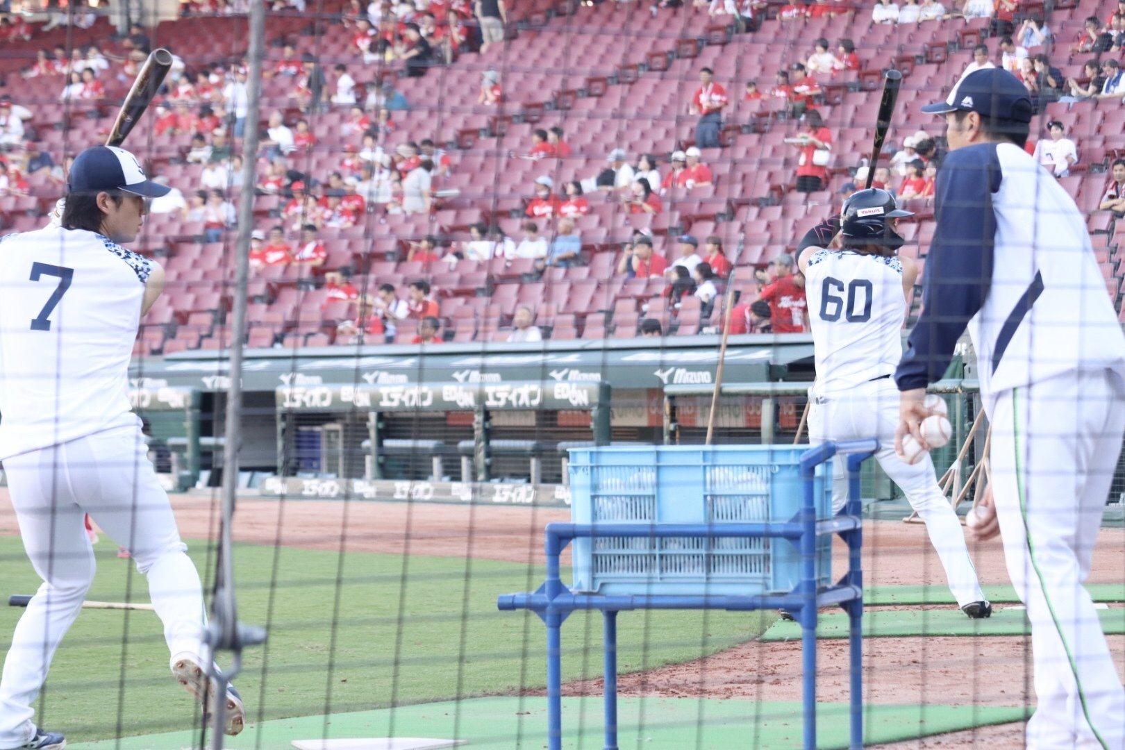 マツダスタジアムの正面砂かぶり席で観戦してきた！｜みかん@野球と旅行