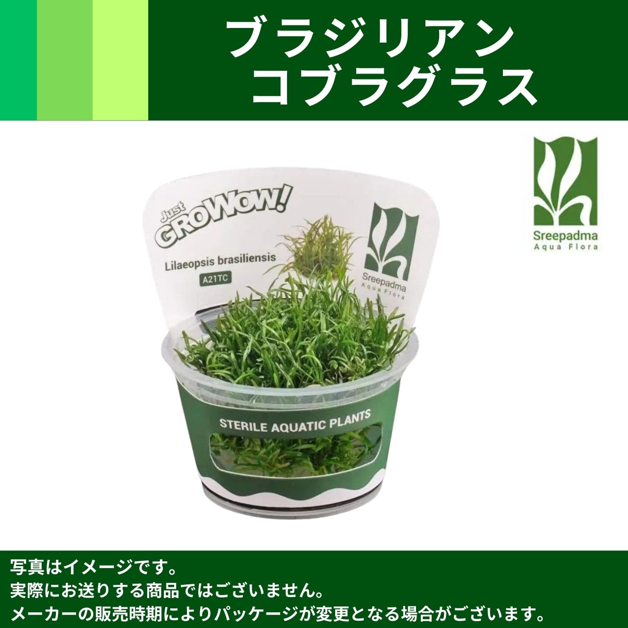 MIZUKUSAカタログ－GROWOW！－｜アクアモノグラフ情報｜NoA｜MASUKO