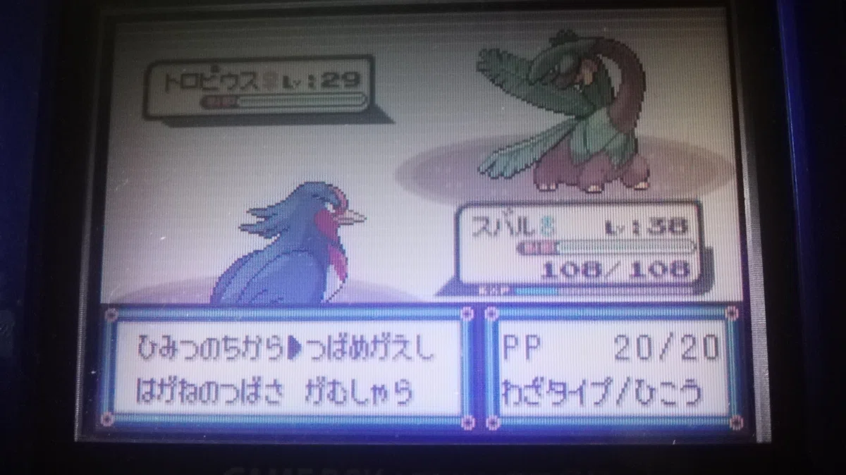 ポケモン全国行脚の旅日記 エメラルド版＃7｜瀧