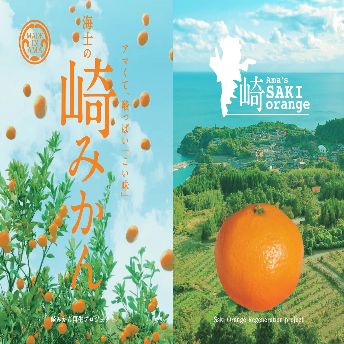 崎みかんのnoteはじめました🍊｜海士町 丹後農園の崎みかん（崎みかん