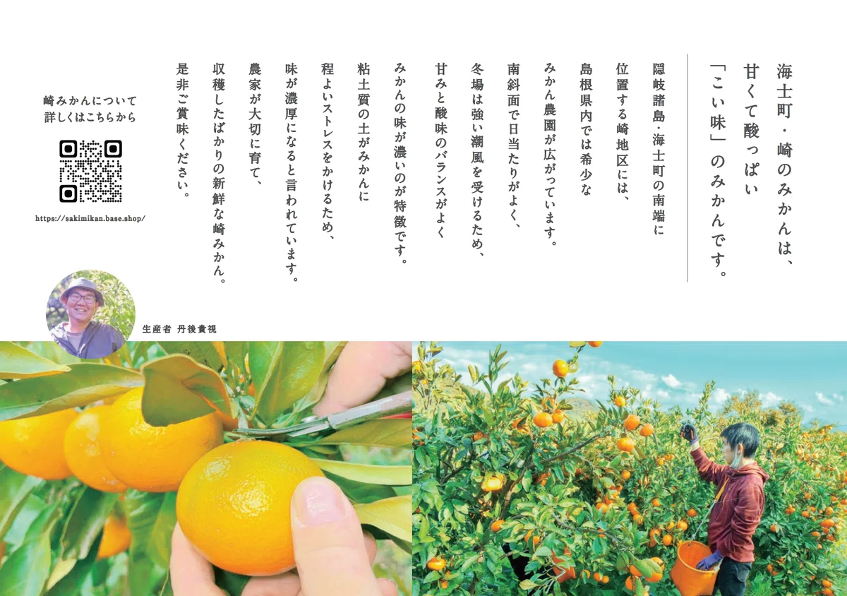 崎みかんのnoteはじめました🍊｜海士町 丹後農園の崎みかん（崎みかん