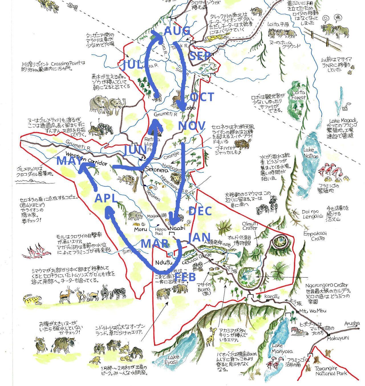 ケニアとタンザニア、サファリするならどっちが良い？｜武田ちょっこ