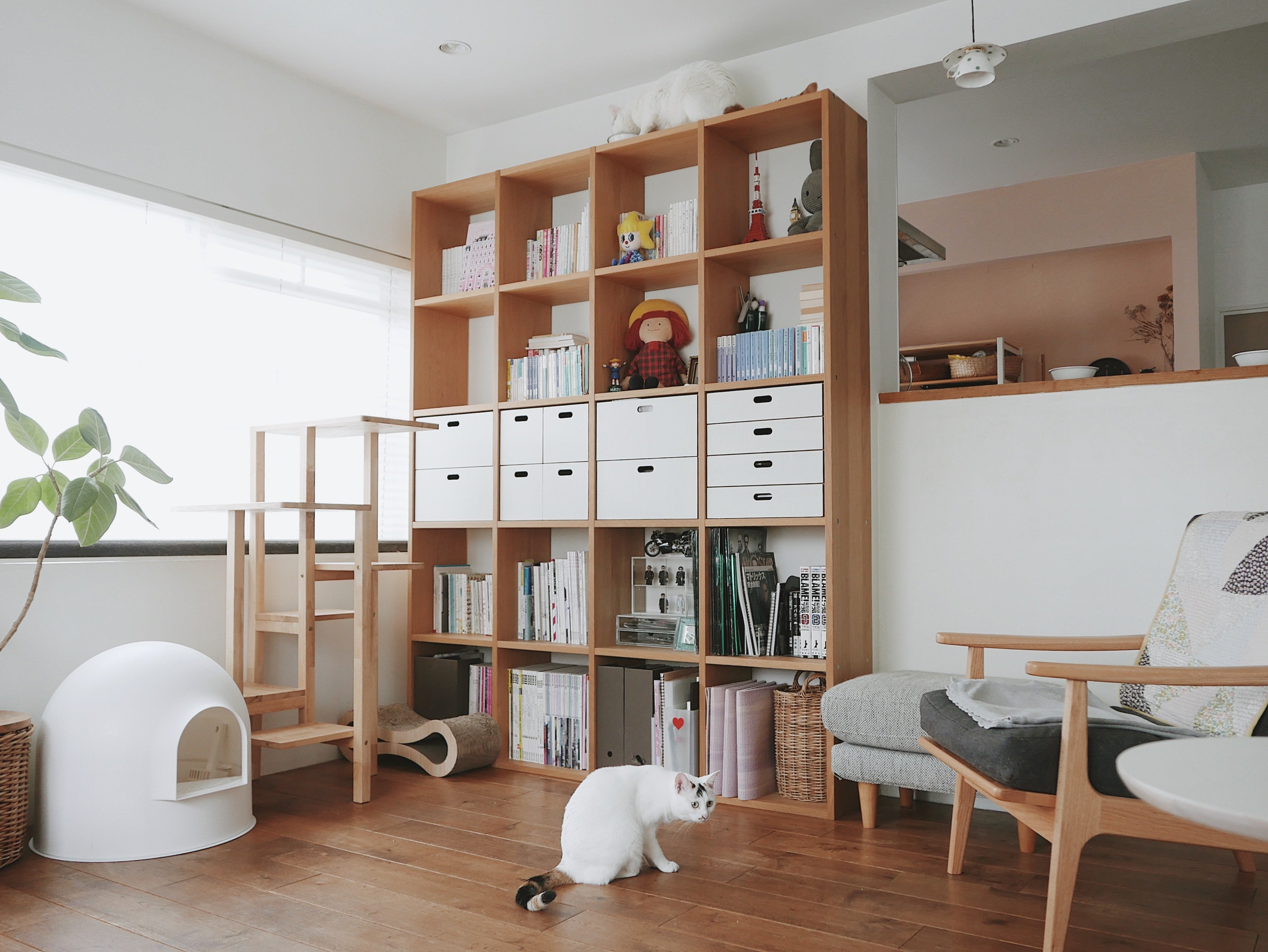【チェチェ】スタッキングシェルフ 猫と共に安全に暮らす｜hikaru miyakawa