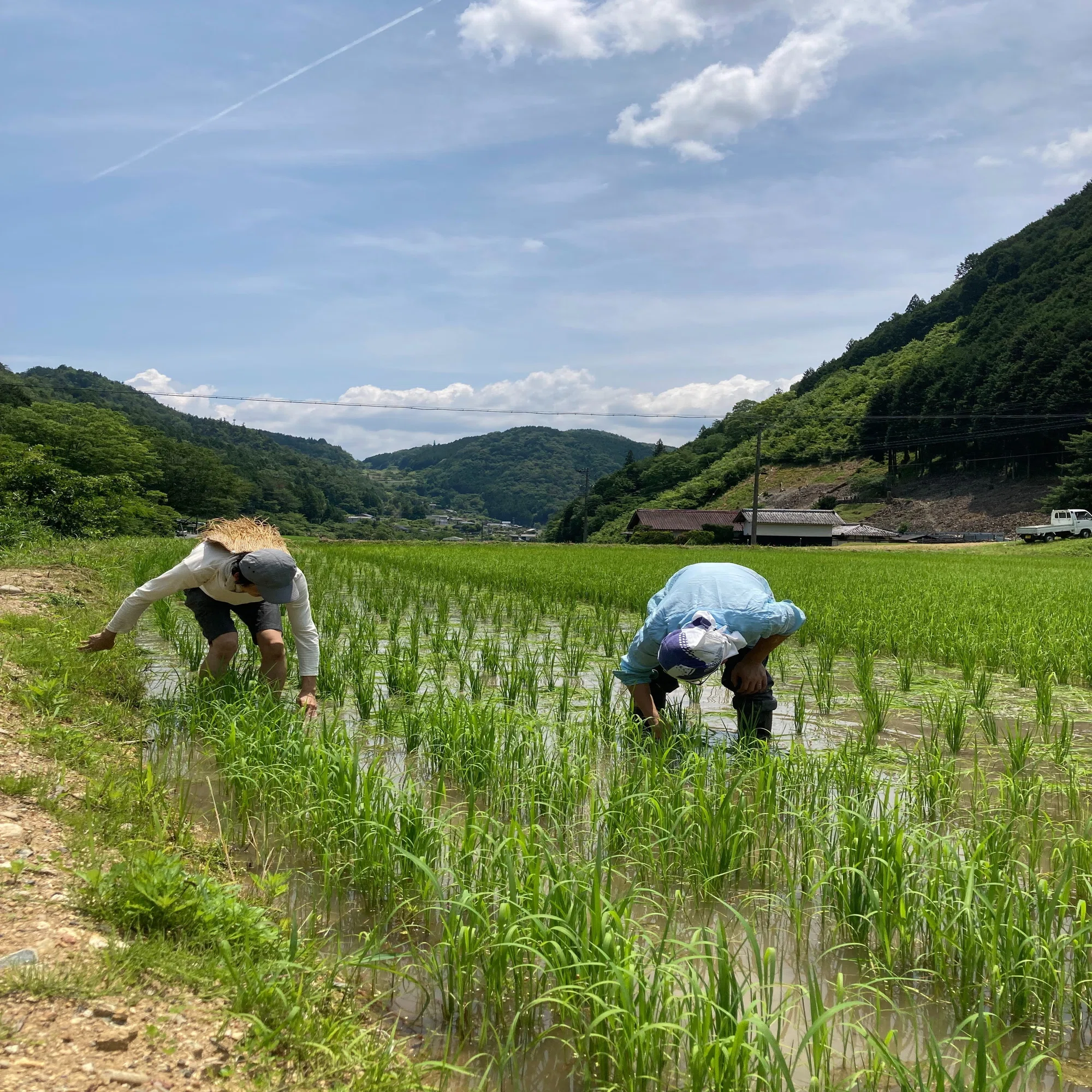 田舎のコメ作りが持続”不”可能になりつつある話 ～カネも時間も体力も 