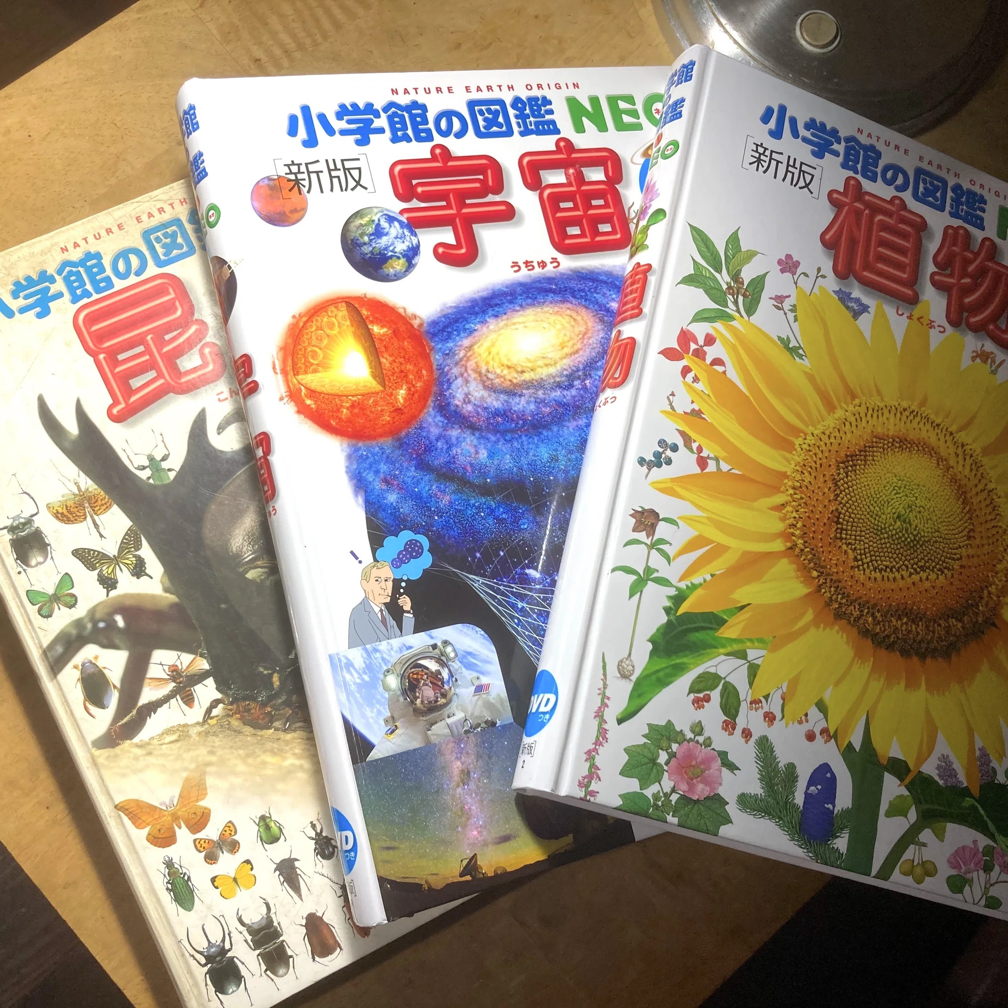 愛読書 『小学館の図鑑 NEO』｜RAMUNOS