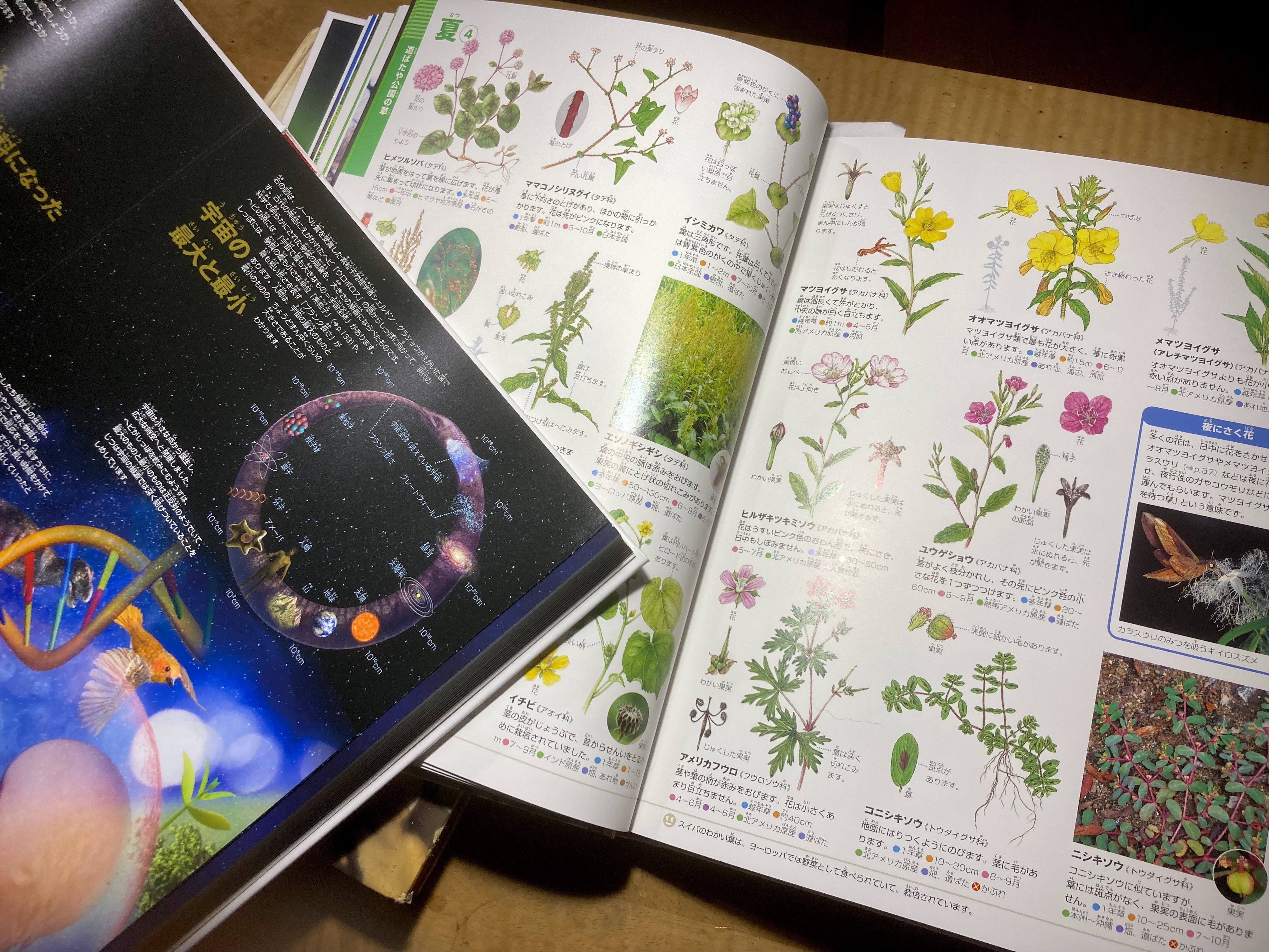 図鑑 14冊 仮面ライダーZX | 仮面ライダー図鑑 | 東映