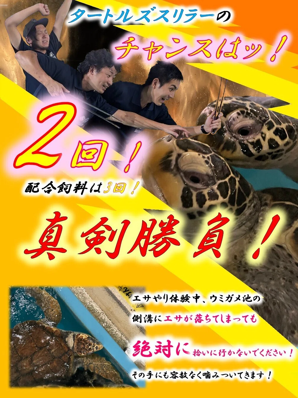 ルールを守って楽しみ、学ぼう！｜桂浜水族館 公式
