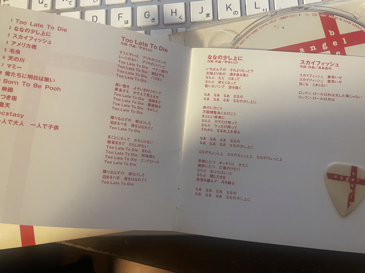 ザ・ハイロウズangel beatle、TOO LATE TO DIE レコード HIGH-LOWS (ハイロウズ) / ANGEL BEETLE [2LP - UMJK-9024/5