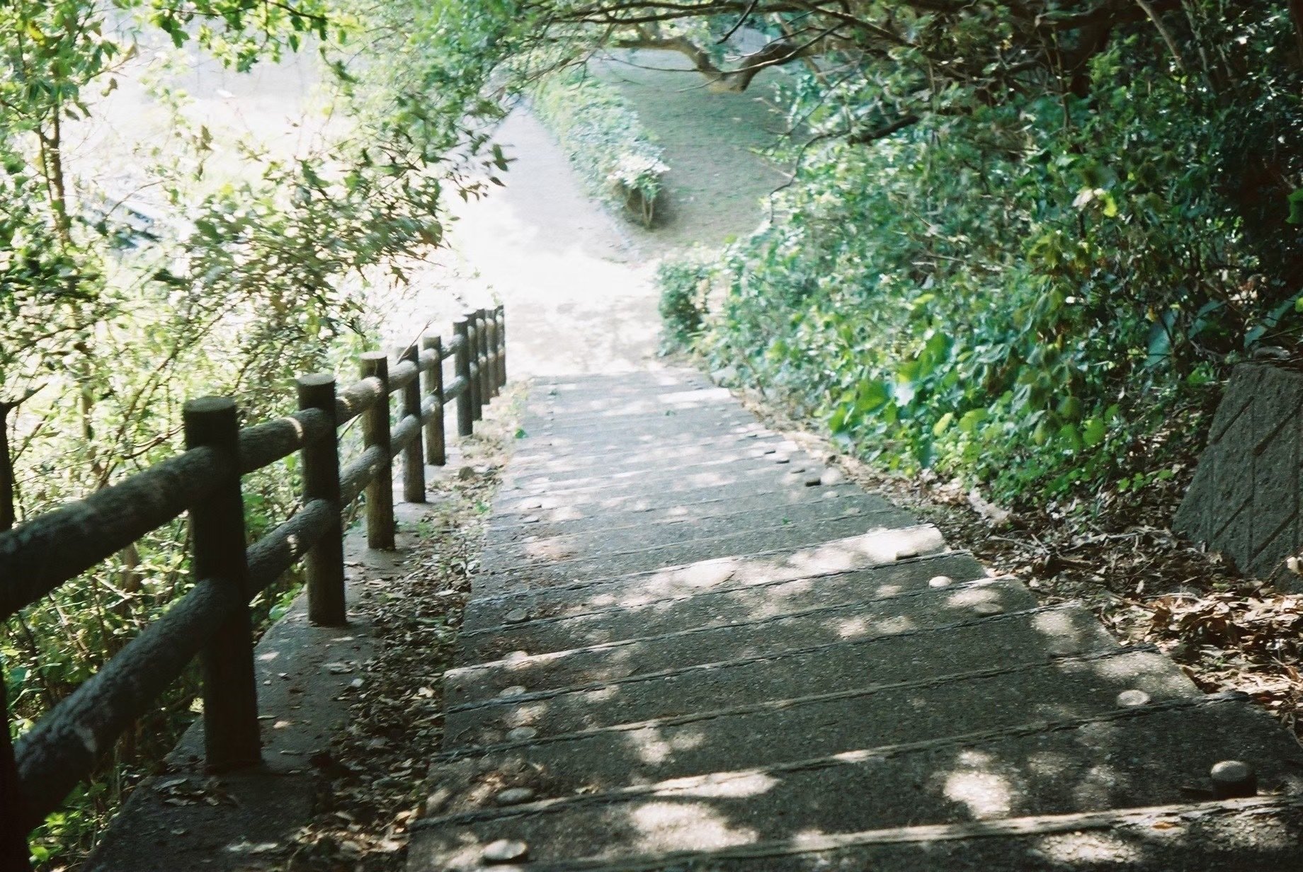 KODAK★大人気★ゴールド100メントゥーメン_2色♪ Box - Eastman Kodak, 'Kodacolor Gold 400', 135 film