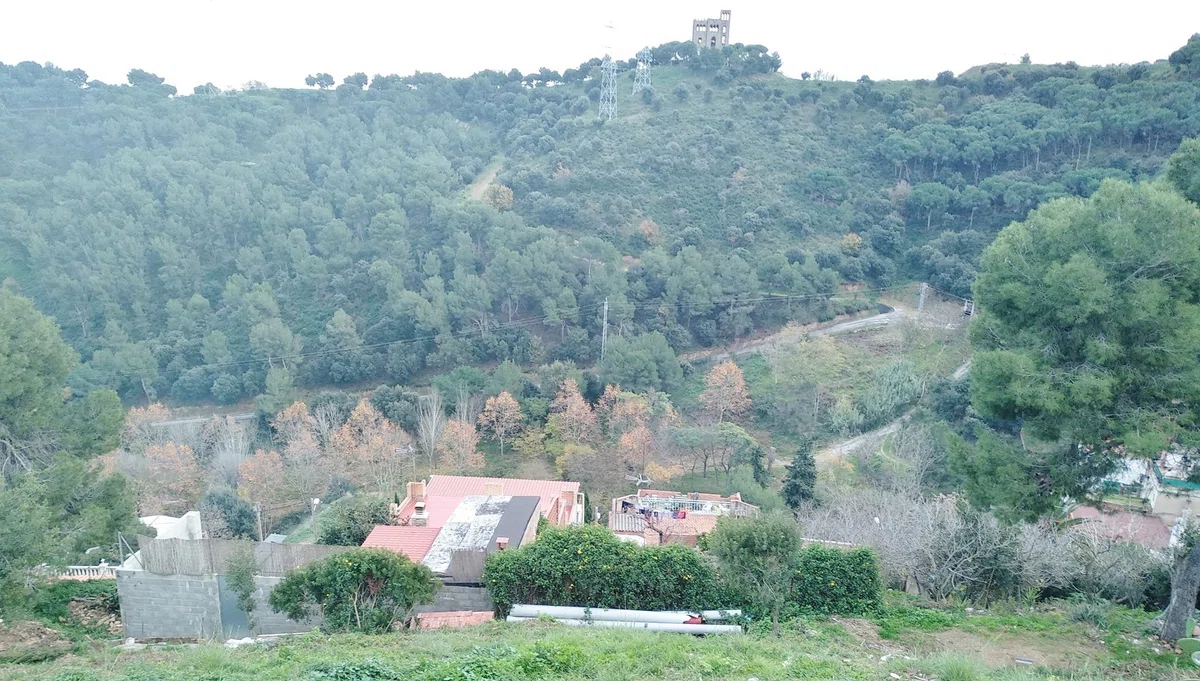 Collserola 山地を散歩 Paseo por Collserola - - 日本語とスペイン語の交流散歩｜Mundiñol Barcelona