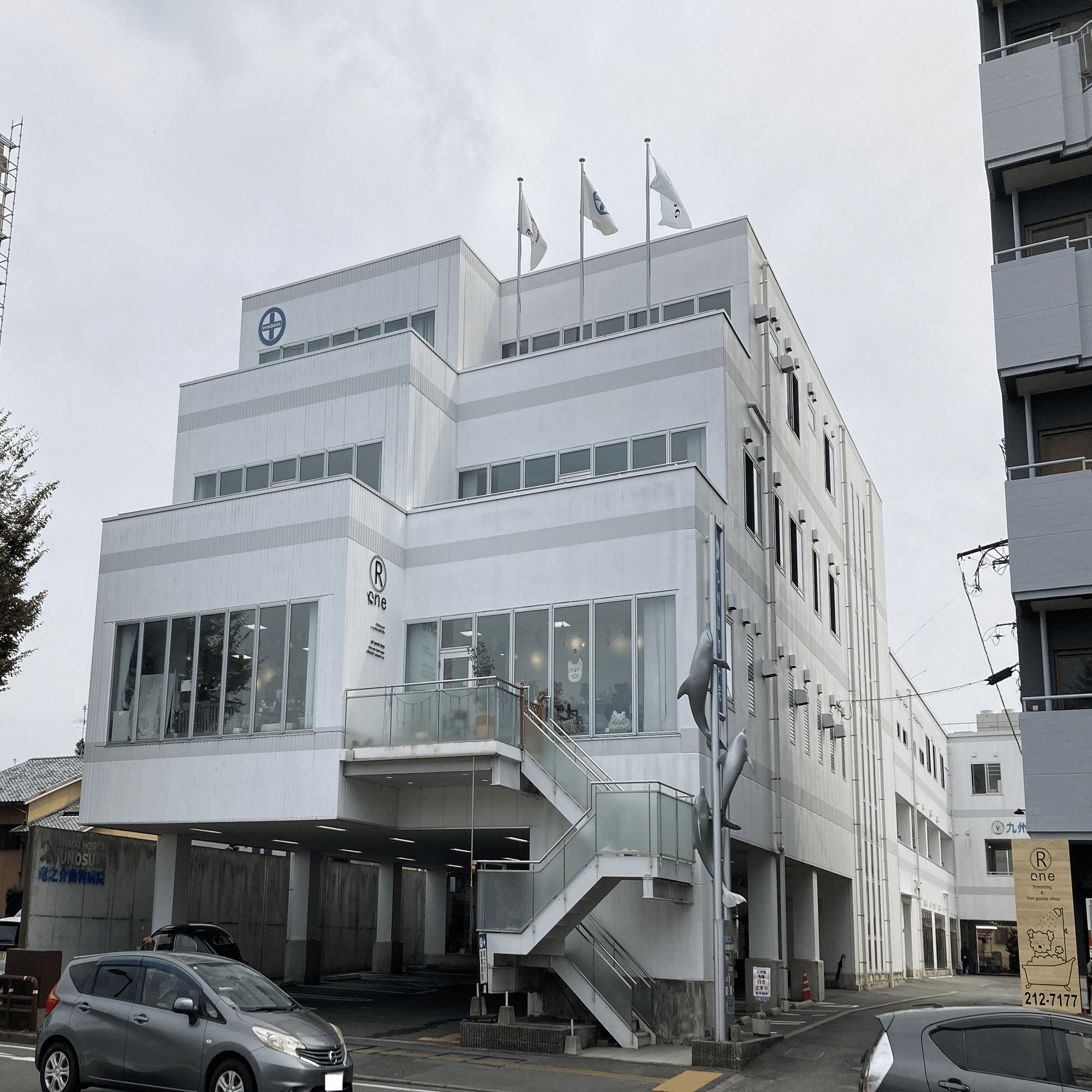 ペット防災のスペシャリスト「災害支援動物危機管理士」の活動をご紹介