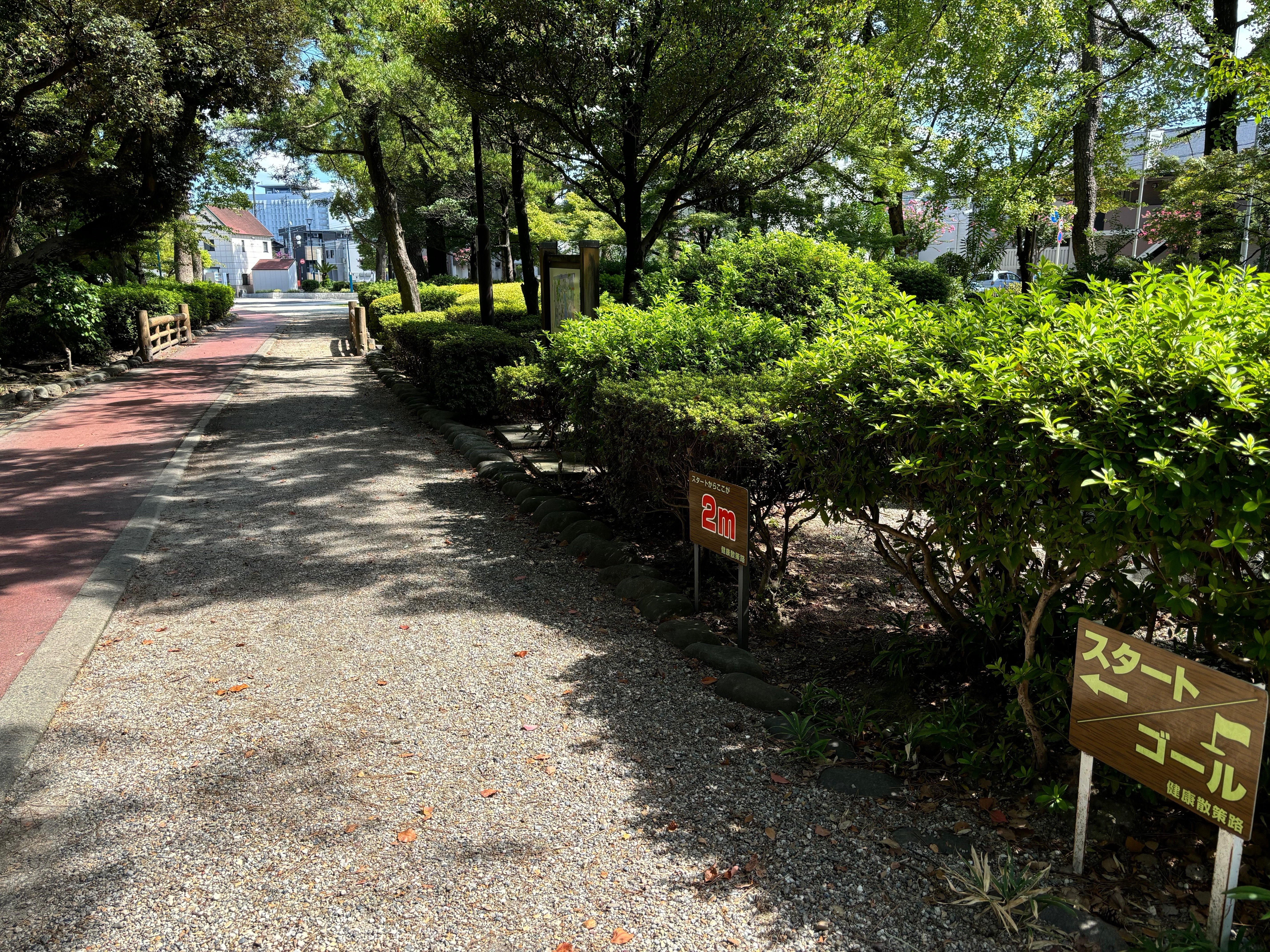 もう一度、青春を、はじめよう！の奇跡 | 中村あゆみ