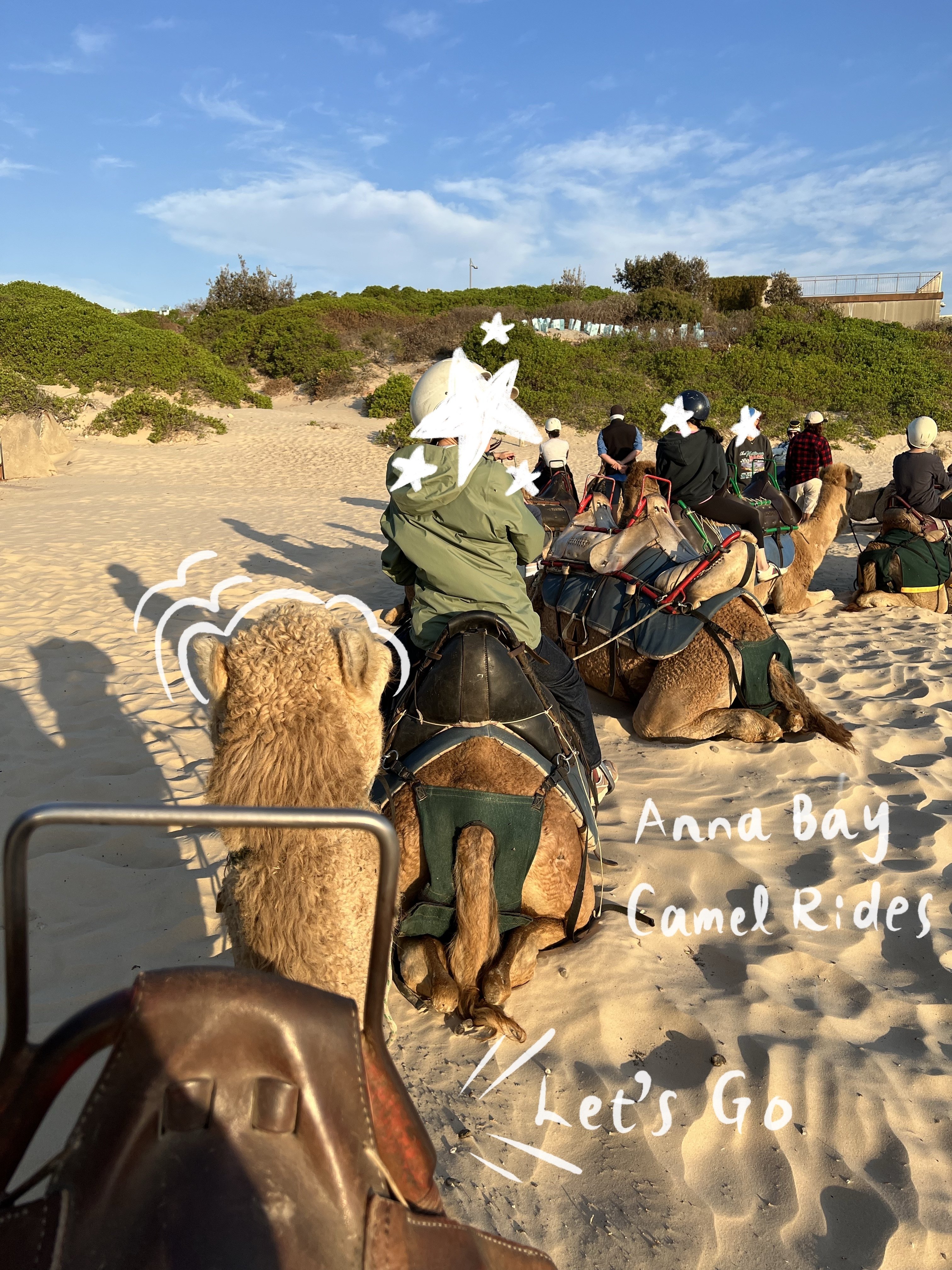 オーストラリア・シドニー旅【3日目②：10マイルビーチでラクダとお