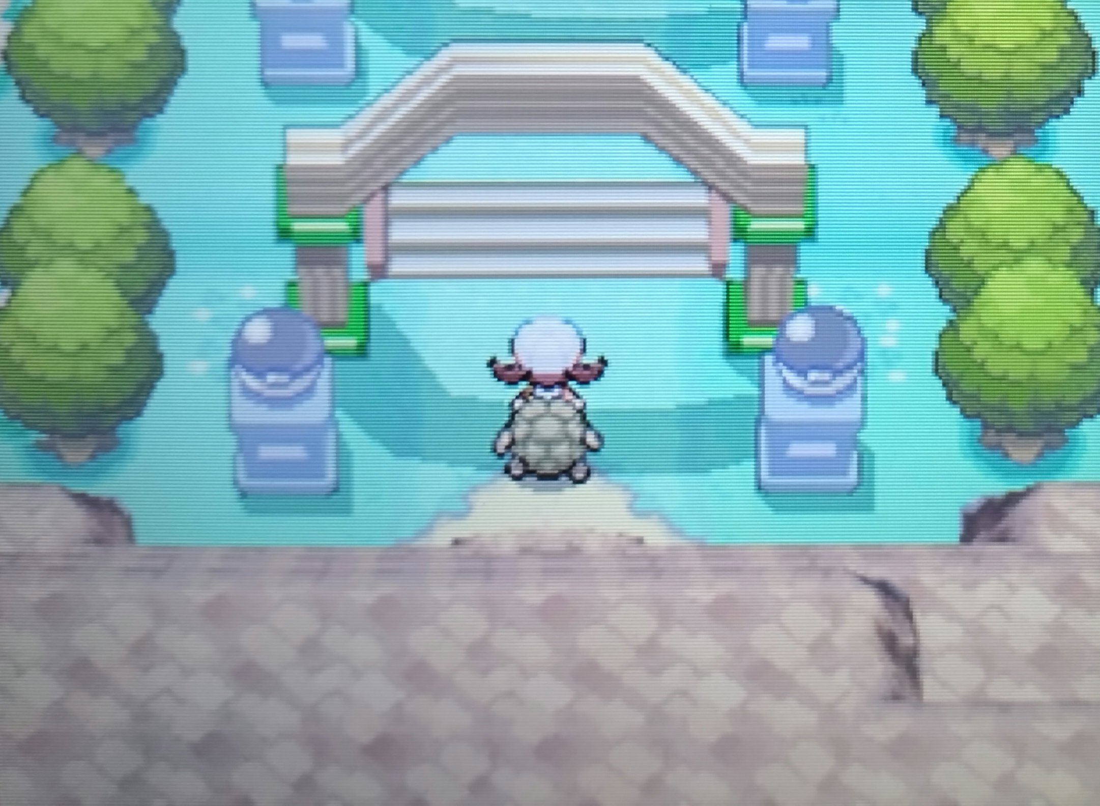 HGSS#13】ついにセキエイ高原へ！（四天王戦）｜雑穀米