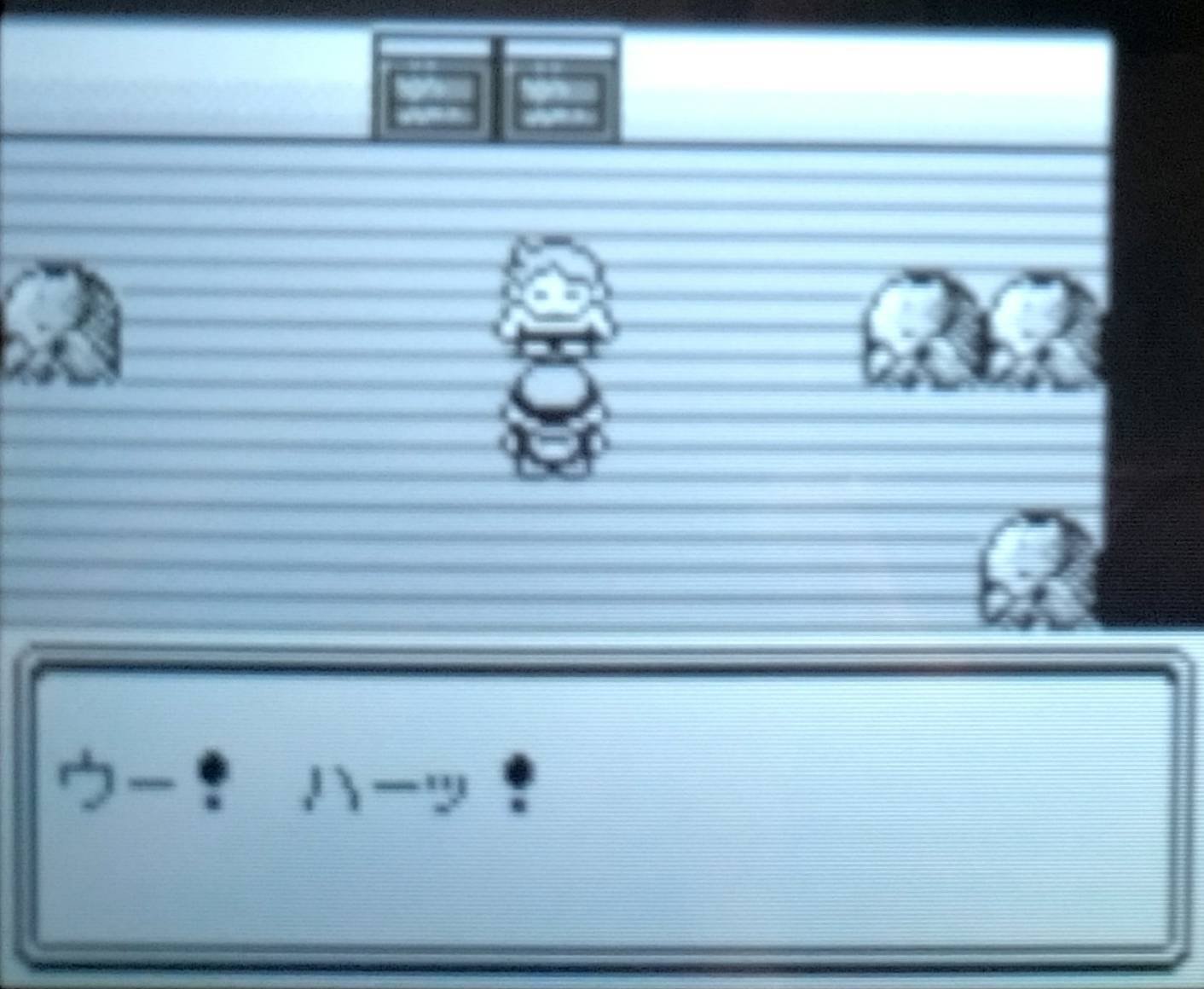 HGSS#13】ついにセキエイ高原へ！（四天王戦）｜ココマイ