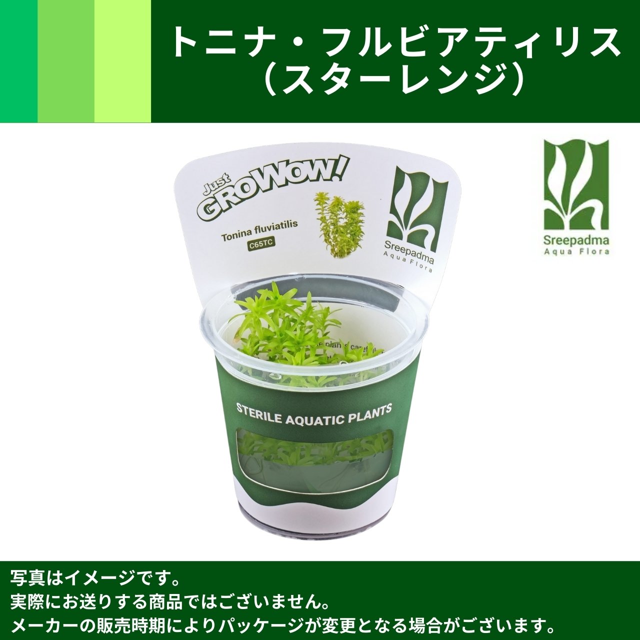 MIZUKUSAカタログ－GROWOW！－｜MASUKO