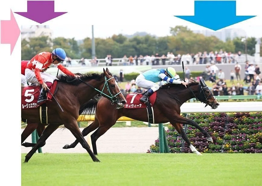 アイルランドトロフィー府中牝馬ステークス2024 サイン馬券