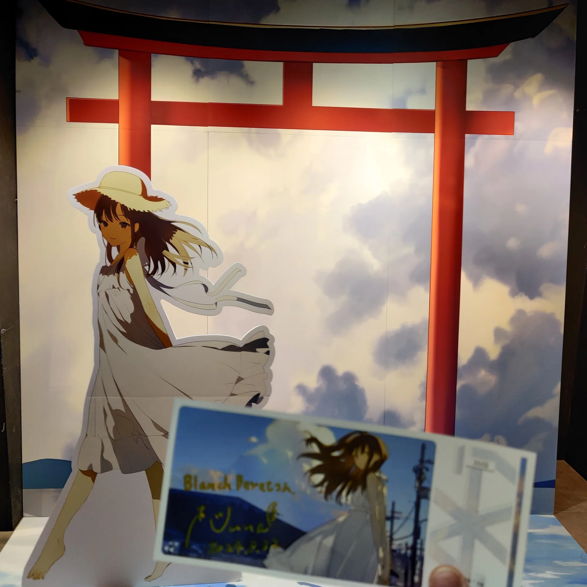 君だけがいない夏』コンセプトライブのはなし｜BlancheBeret