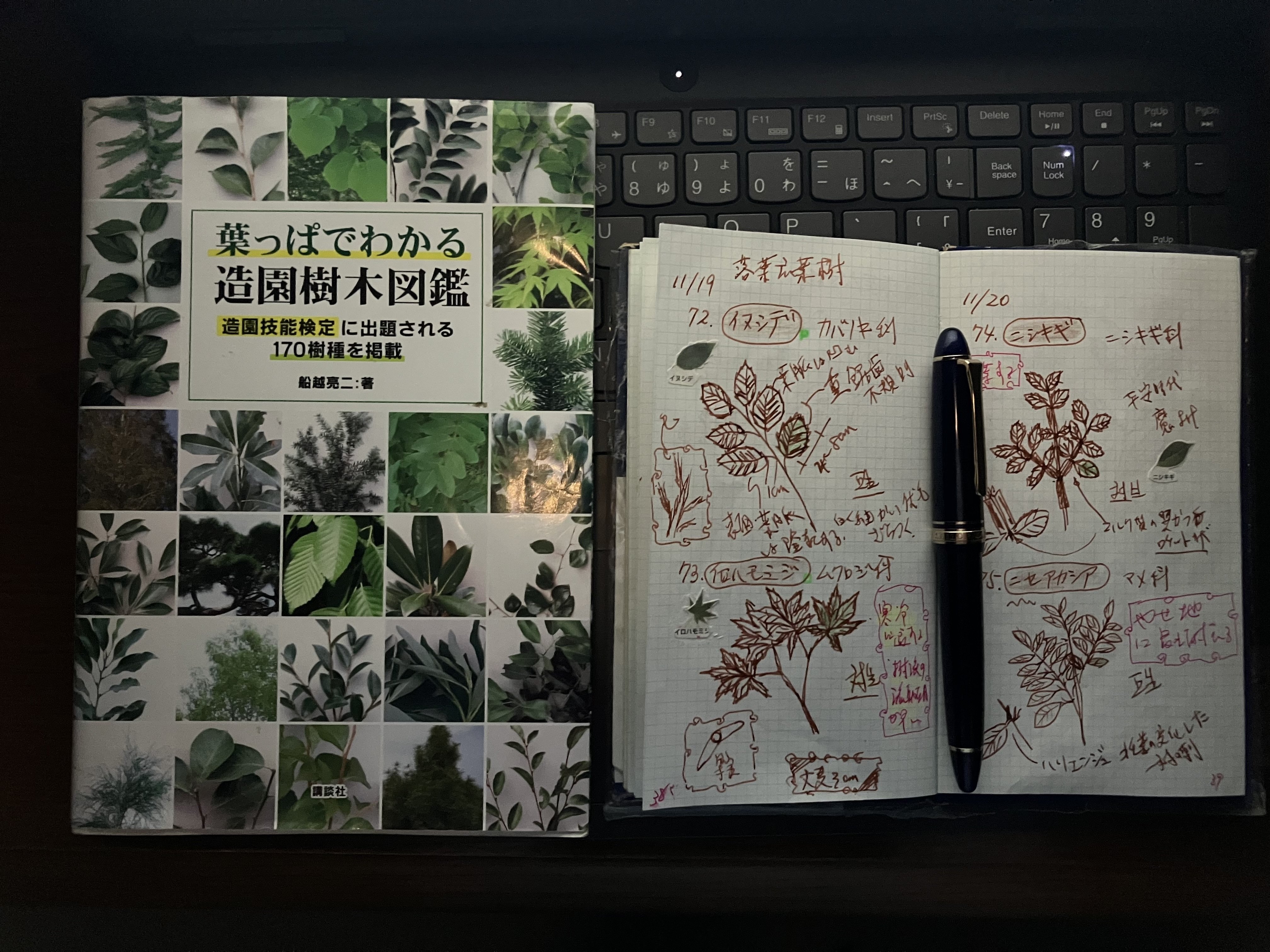 R6年度2級造園技能士合格しました。得点の開示請求をしてみた